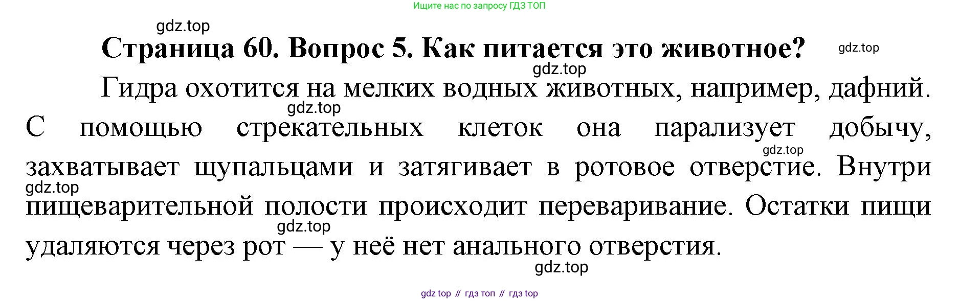 ГДЗ Биология, 8 класс Учебник, авторы: Латюшин Виталий Викторович, Шапкин Владимир Алексеевич, Озерова Жанна Анатольевна, издательство Просвещение, Москва, 2021, белого цвета, страница 60, номер 5, Решение