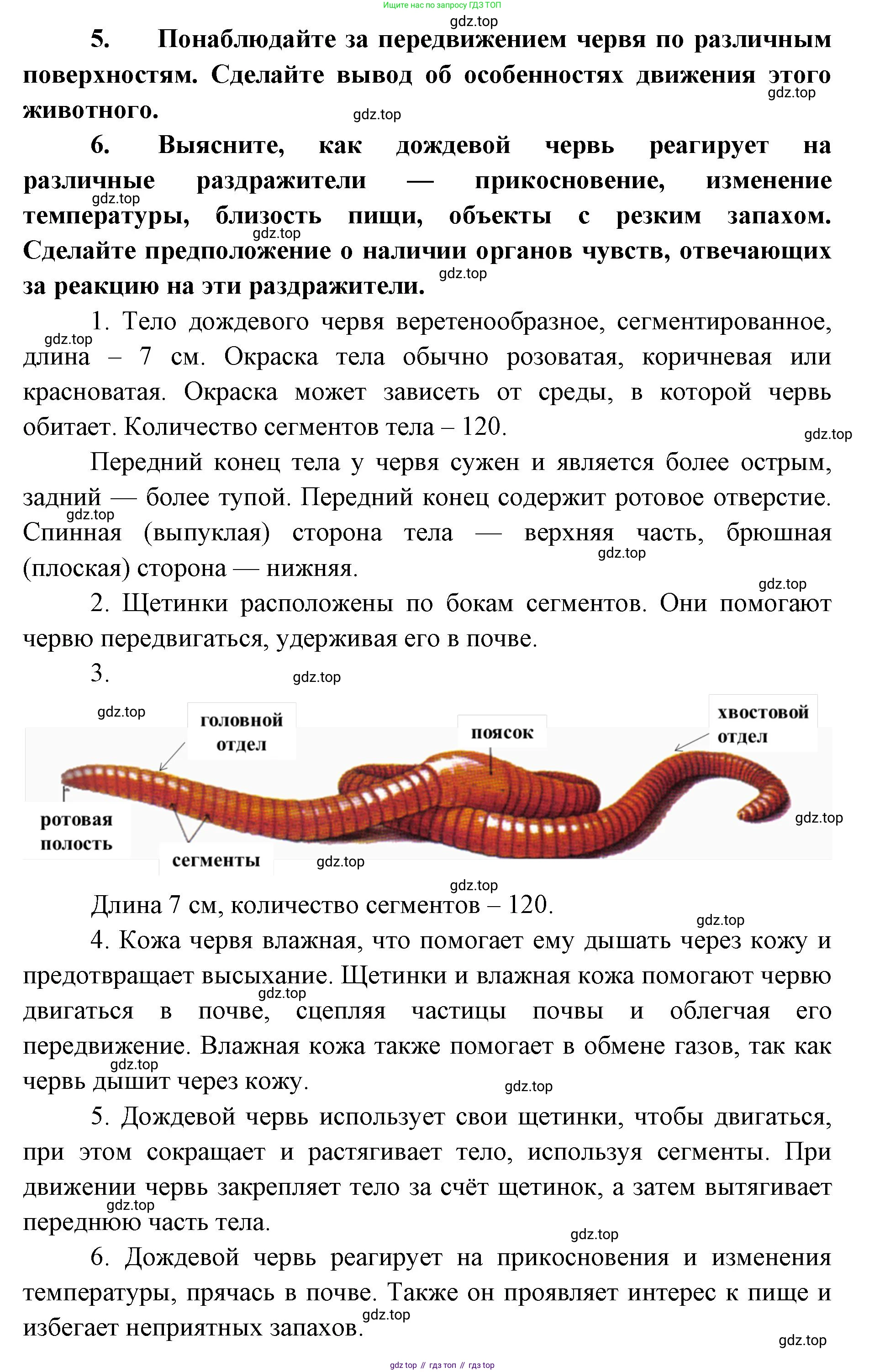 ГДЗ Биология, 8 класс Учебник, авторы: Латюшин Виталий Викторович, Шапкин Владимир Алексеевич, Озерова Жанна Анатольевна, издательство Просвещение, Москва, 2021, белого цвета, страница 97, номер 2, Решение (продолжение 2)