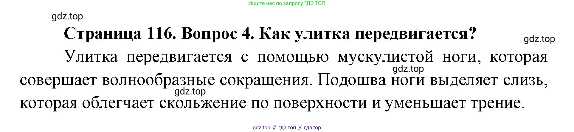 ГДЗ Биология, 8 класс Учебник, авторы: Латюшин Виталий Викторович, Шапкин Владимир Алексеевич, Озерова Жанна Анатольевна, издательство Просвещение, Москва, 2021, белого цвета, страница 116, номер 4, Решение