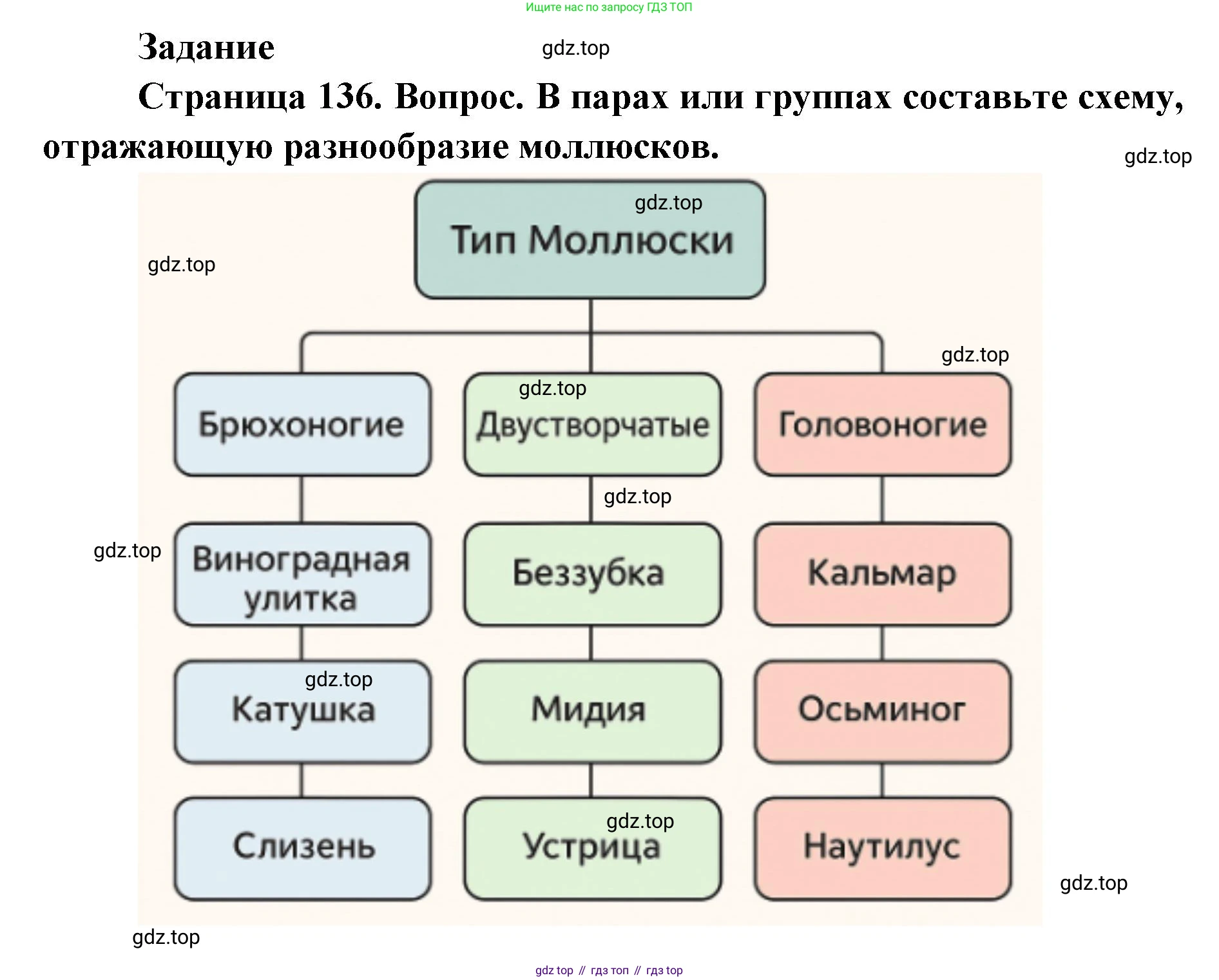 ГДЗ Биология, 8 класс Учебник, авторы: Латюшин Виталий Викторович, Шапкин Владимир Алексеевич, Озерова Жанна Анатольевна, издательство Просвещение, Москва, 2021, белого цвета, страница 136, номер 1, Решение