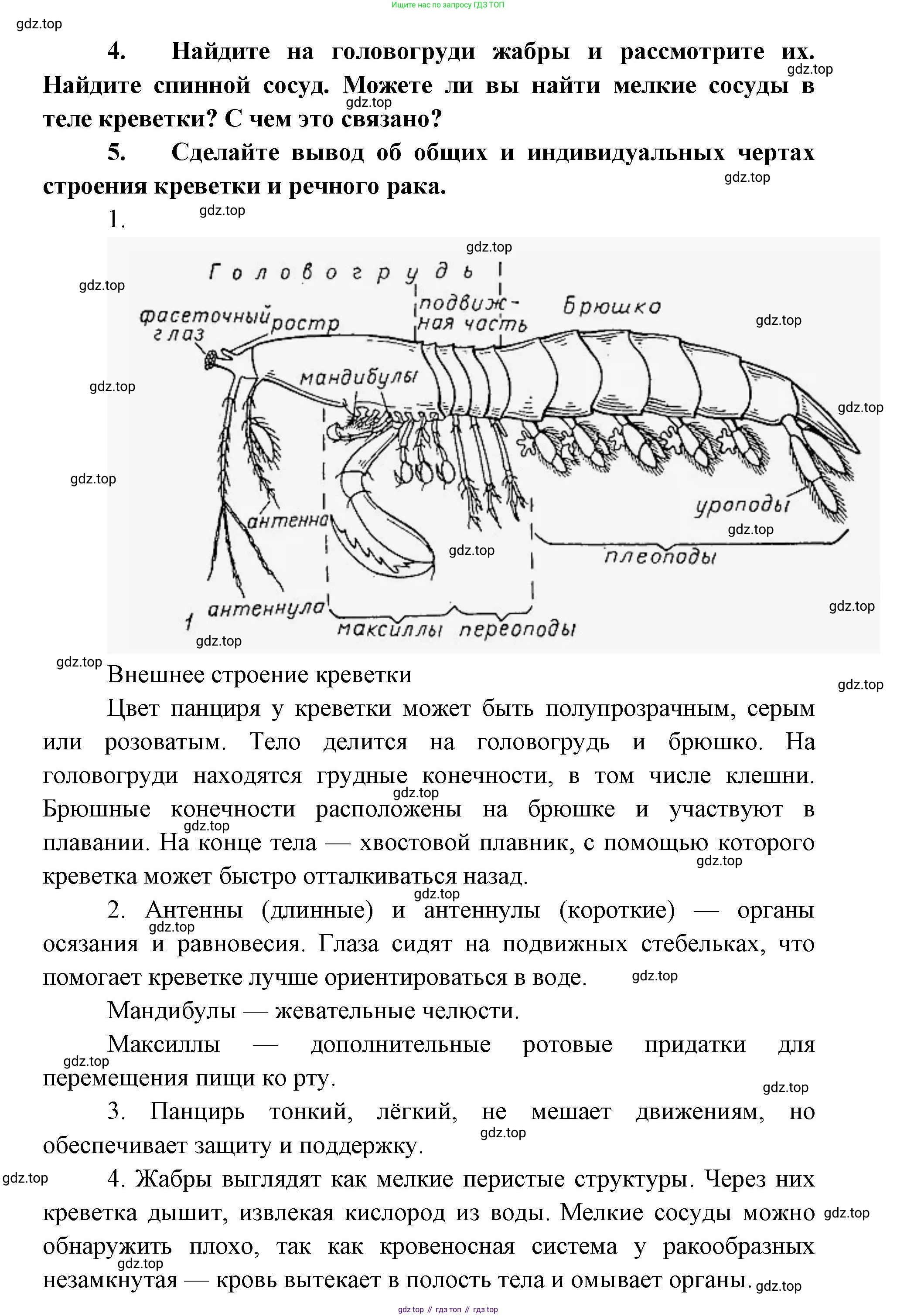 ГДЗ Биология, 8 класс Учебник, авторы: Латюшин Виталий Викторович, Шапкин Владимир Алексеевич, Озерова Жанна Анатольевна, издательство Просвещение, Москва, 2021, белого цвета, страница 146, номер 1, Решение (продолжение 2)