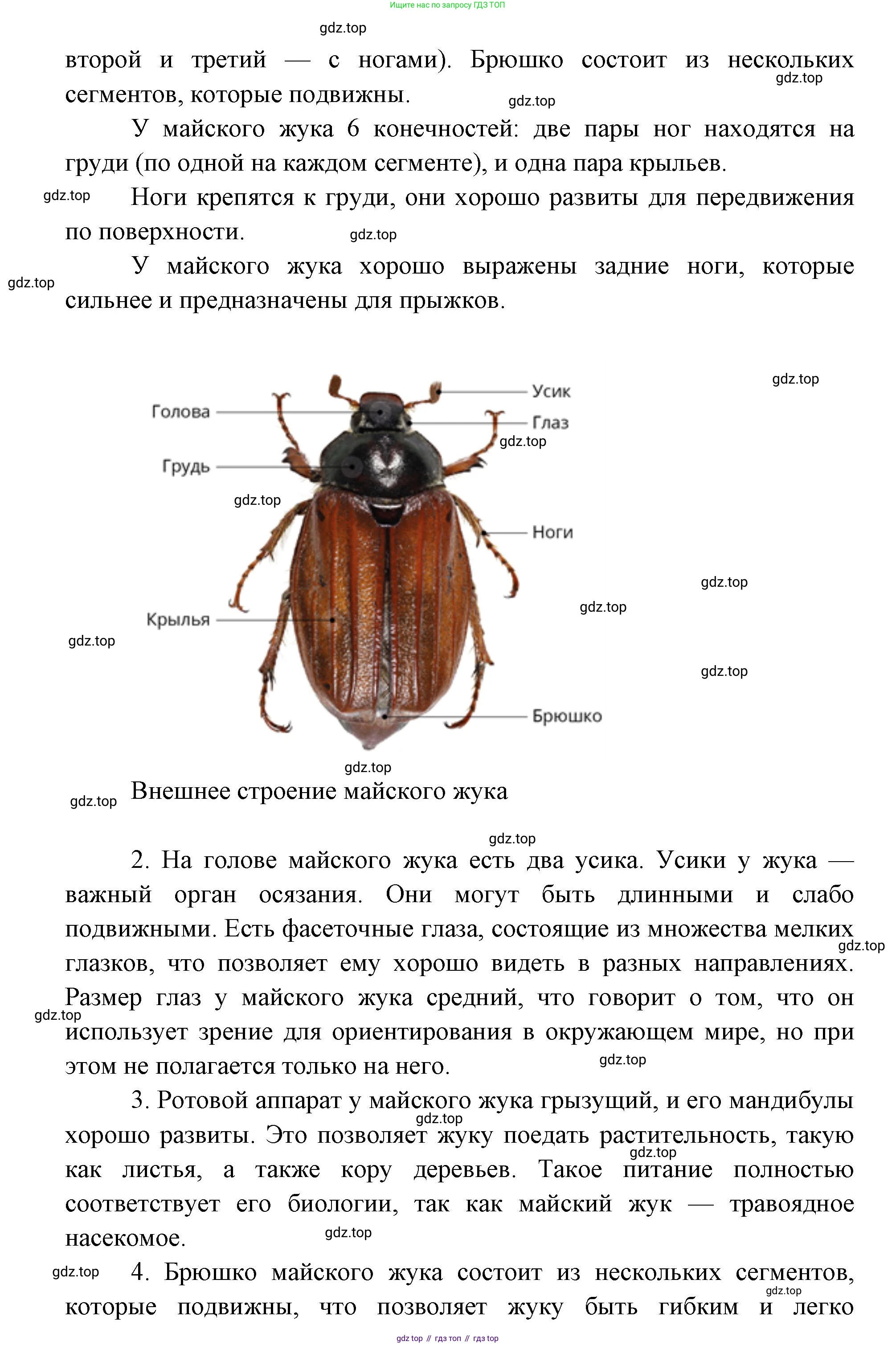 ГДЗ Биология, 8 класс Учебник, авторы: Латюшин Виталий Викторович, Шапкин Владимир Алексеевич, Озерова Жанна Анатольевна, издательство Просвещение, Москва, 2021, белого цвета, страница 162, номер 1, Решение (продолжение 2)