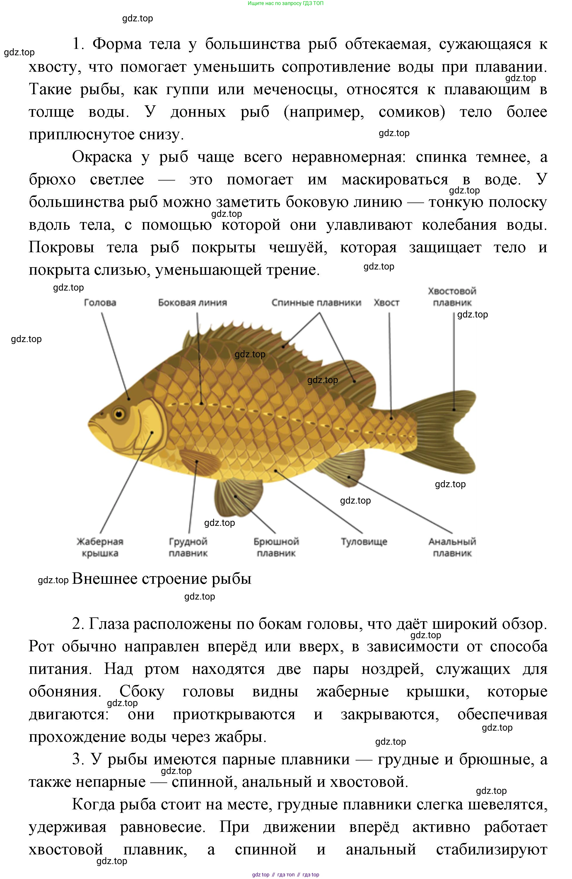 ГДЗ Биология, 8 класс Учебник, авторы: Латюшин Виталий Викторович, Шапкин Владимир Алексеевич, Озерова Жанна Анатольевна, издательство Просвещение, Москва, 2021, белого цвета, страница 198, номер 1, Решение (продолжение 2)