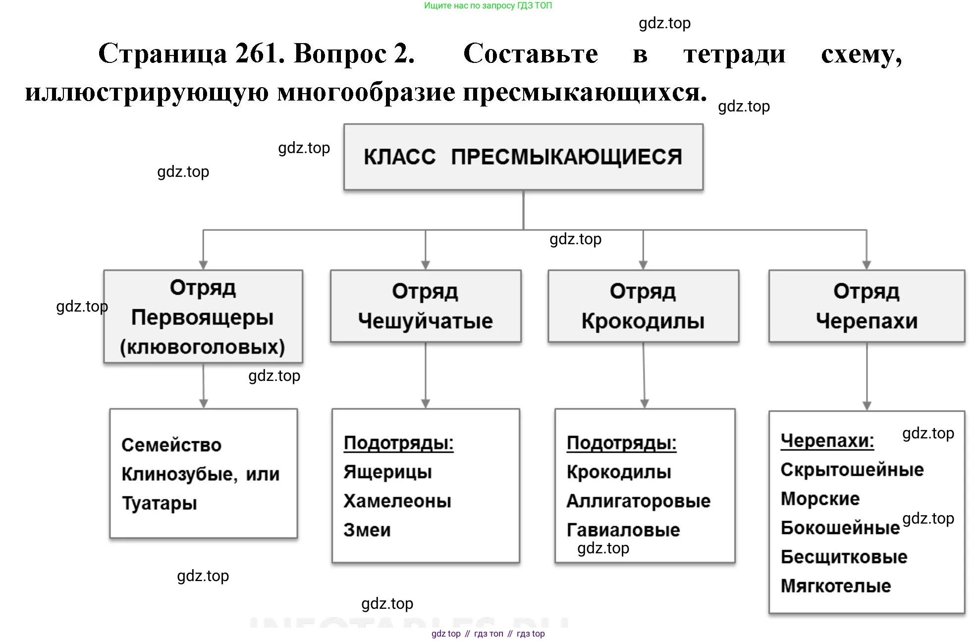 ГДЗ Биология, 8 класс Учебник, авторы: Латюшин Виталий Викторович, Шапкин Владимир Алексеевич, Озерова Жанна Анатольевна, издательство Просвещение, Москва, 2021, белого цвета, страница 261, номер 2, Решение