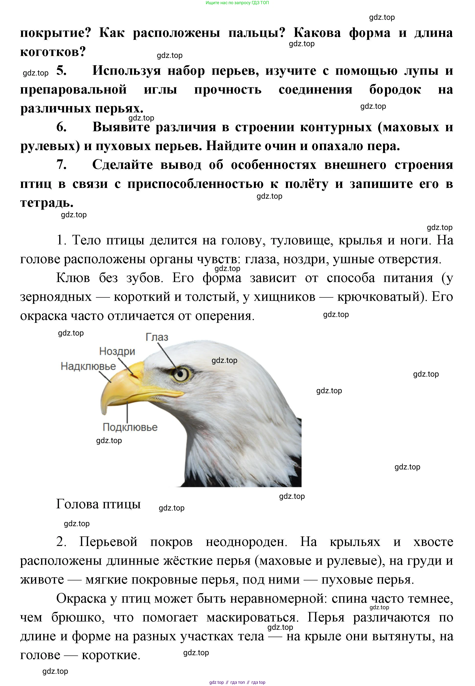 ГДЗ Биология, 8 класс Учебник, авторы: Латюшин Виталий Викторович, Шапкин Владимир Алексеевич, Озерова Жанна Анатольевна, издательство Просвещение, Москва, 2021, белого цвета, страница 264, номер 1, Решение (продолжение 2)