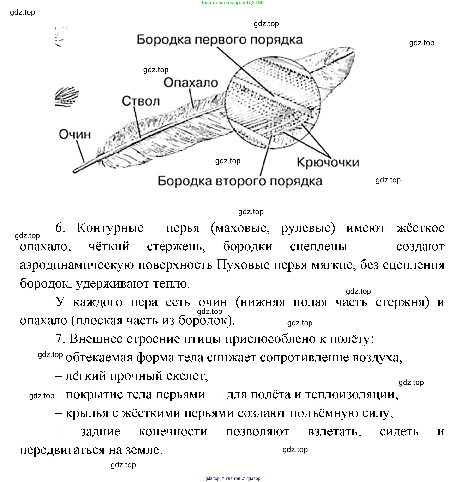 ГДЗ Биология, 8 класс Учебник, авторы: Латюшин Виталий Викторович, Шапкин Владимир Алексеевич, Озерова Жанна Анатольевна, издательство Просвещение, Москва, 2021, белого цвета, страница 264, номер 1, Решение (продолжение 4)