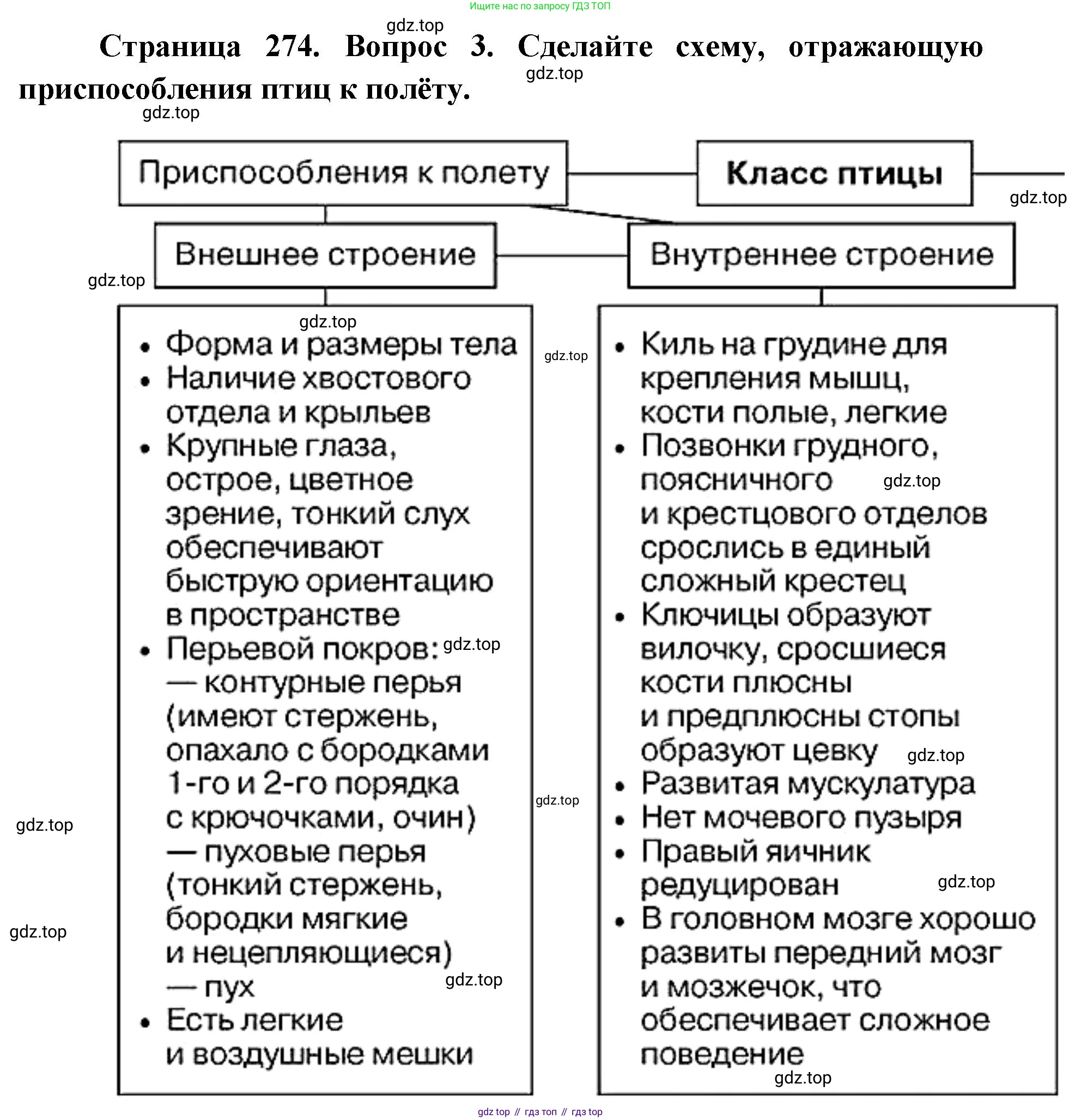 ГДЗ Биология, 8 класс Учебник, авторы: Латюшин Виталий Викторович, Шапкин Владимир Алексеевич, Озерова Жанна Анатольевна, издательство Просвещение, Москва, 2021, белого цвета, страница 274, номер 3, Решение