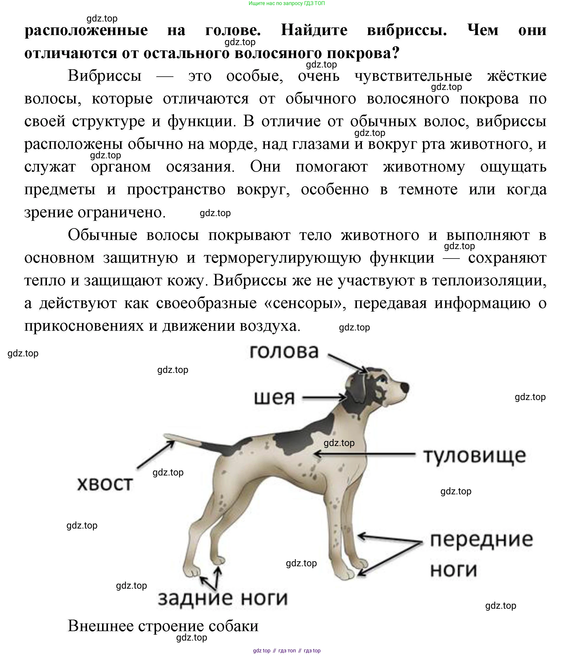 ГДЗ Биология, 8 класс Учебник, авторы: Латюшин Виталий Викторович, Шапкин Владимир Алексеевич, Озерова Жанна Анатольевна, издательство Просвещение, Москва, 2021, белого цвета, страница 295, номер 1, Решение (продолжение 2)