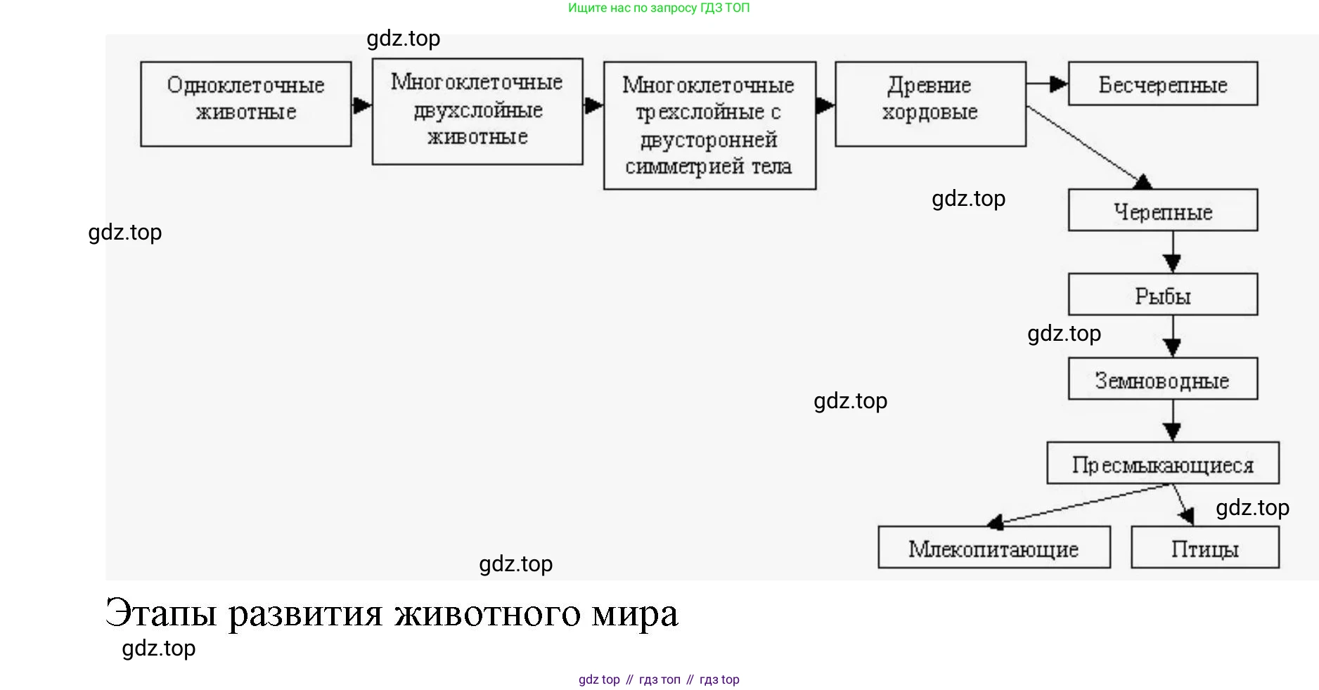 ГДЗ Биология, 8 класс Учебник, авторы: Латюшин Виталий Викторович, Шапкин Владимир Алексеевич, Озерова Жанна Анатольевна, издательство Просвещение, Москва, 2021, белого цвета, страница 390, номер 1, Решение (продолжение 2)