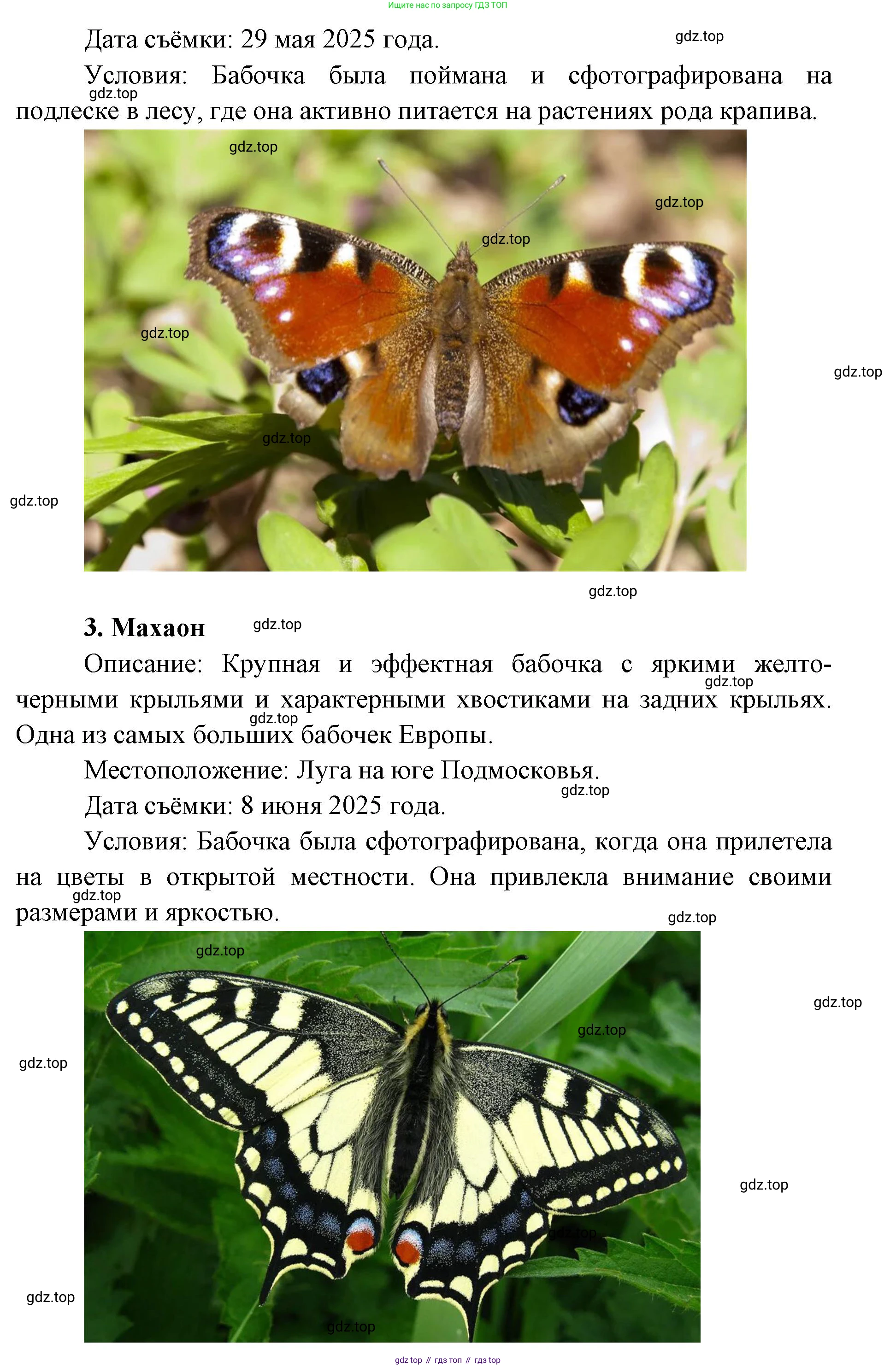 ГДЗ Биология, 8 класс Учебник, авторы: Латюшин Виталий Викторович, Шапкин Владимир Алексеевич, Озерова Жанна Анатольевна, издательство Просвещение, Москва, 2021, белого цвета, страница 415, номер 1, Решение (продолжение 2)