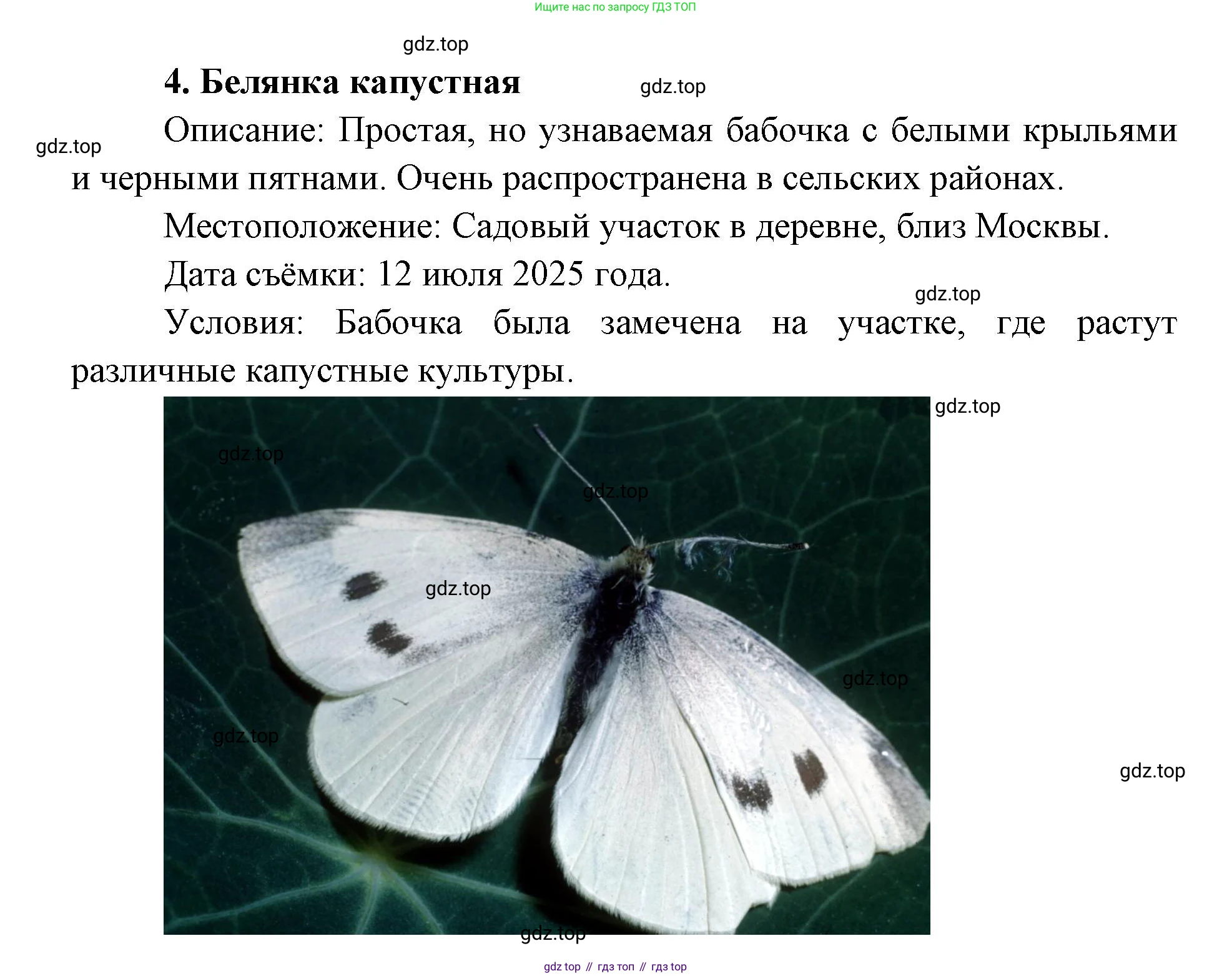 ГДЗ Биология, 8 класс Учебник, авторы: Латюшин Виталий Викторович, Шапкин Владимир Алексеевич, Озерова Жанна Анатольевна, издательство Просвещение, Москва, 2021, белого цвета, страница 415, номер 1, Решение (продолжение 3)