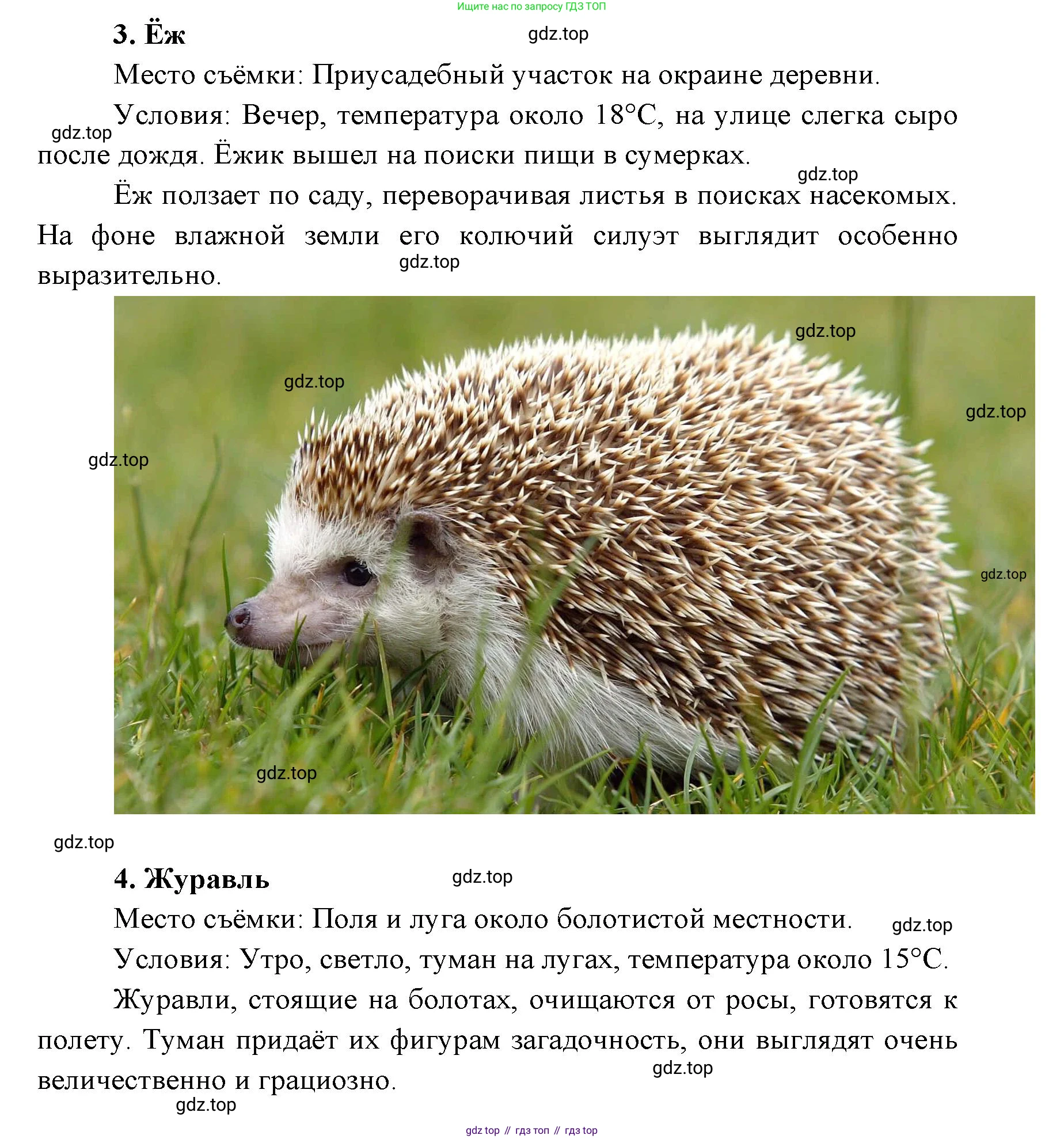 ГДЗ Биология, 8 класс Учебник, авторы: Латюшин Виталий Викторович, Шапкин Владимир Алексеевич, Озерова Жанна Анатольевна, издательство Просвещение, Москва, 2021, белого цвета, страница 416, номер 7, Решение (продолжение 3)
