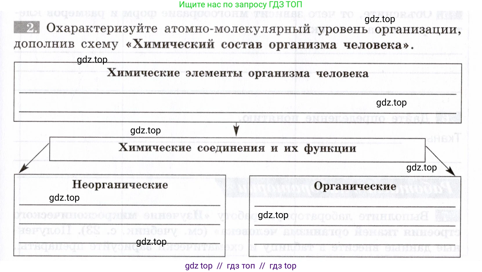 Биология, 8 класс рабочая тетрадь, авторы: Пасечник Владимир Васильевич, Швецов Глеб Геннадьевич, издательство Просвещение, Москва, 2019, страница 11, номер 2, Условие