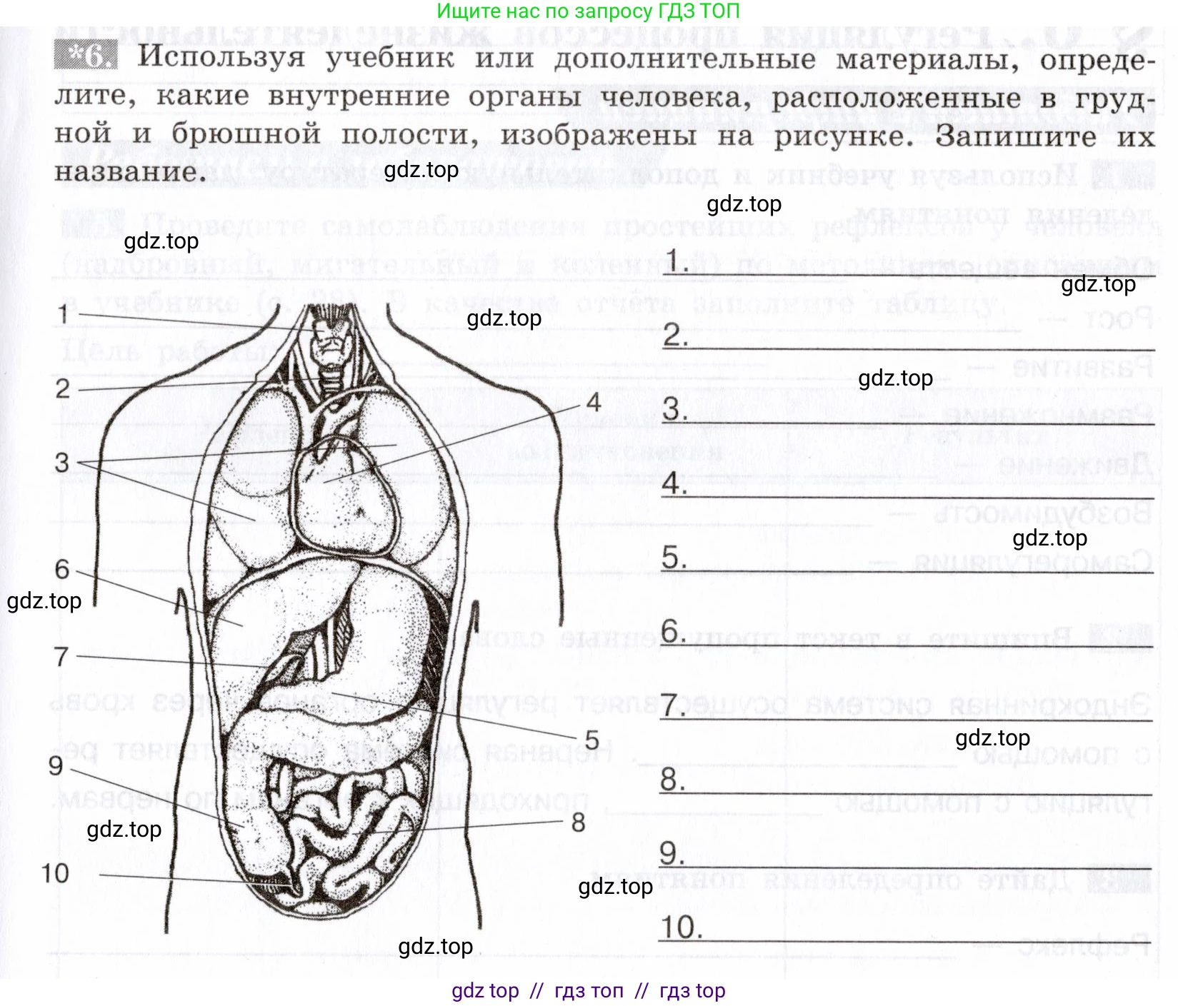 Биология, 8 класс рабочая тетрадь, авторы: Пасечник Владимир Васильевич, Швецов Глеб Геннадьевич, издательство Просвещение, Москва, 2019, страница 15, номер 6, Условие