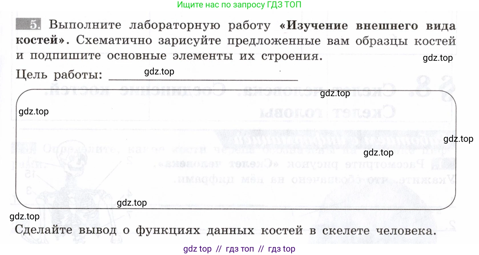 Биология, 8 класс рабочая тетрадь, авторы: Пасечник Владимир Васильевич, Швецов Глеб Геннадьевич, издательство Просвещение, Москва, 2019, страница 21, номер 5, Условие