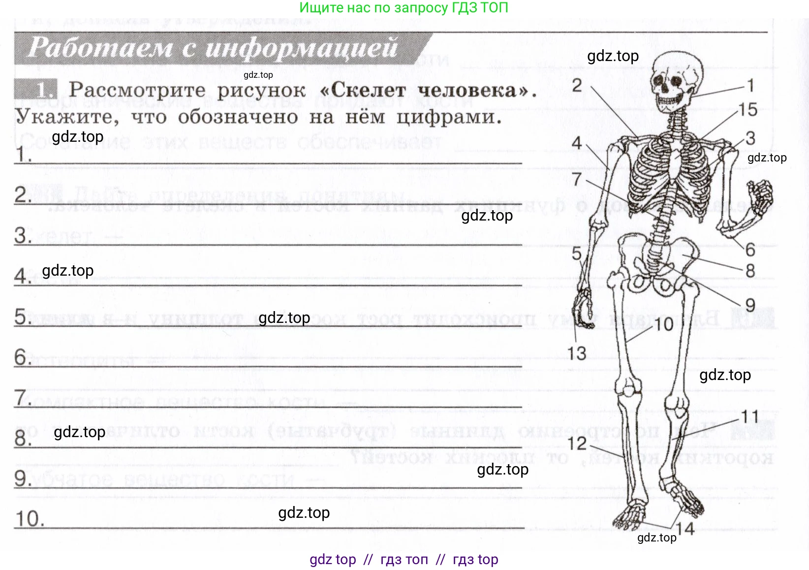 Биология, 8 класс рабочая тетрадь, авторы: Пасечник Владимир Васильевич, Швецов Глеб Геннадьевич, издательство Просвещение, Москва, 2019, страница 22, номер 1, Условие