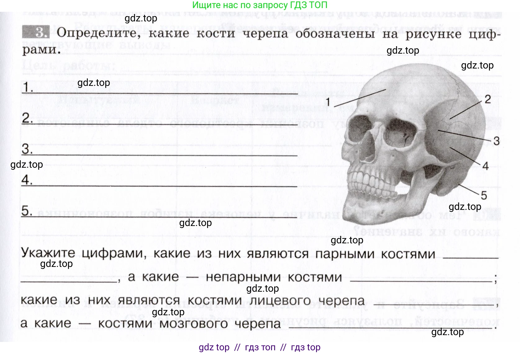 Биология, 8 класс рабочая тетрадь, авторы: Пасечник Владимир Васильевич, Швецов Глеб Геннадьевич, издательство Просвещение, Москва, 2019, страница 23, номер 3, Условие