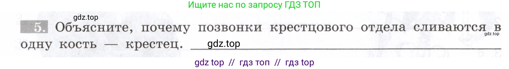 Биология, 8 класс рабочая тетрадь, авторы: Пасечник Владимир Васильевич, Швецов Глеб Геннадьевич, издательство Просвещение, Москва, 2019, страница 24, номер 5, Условие