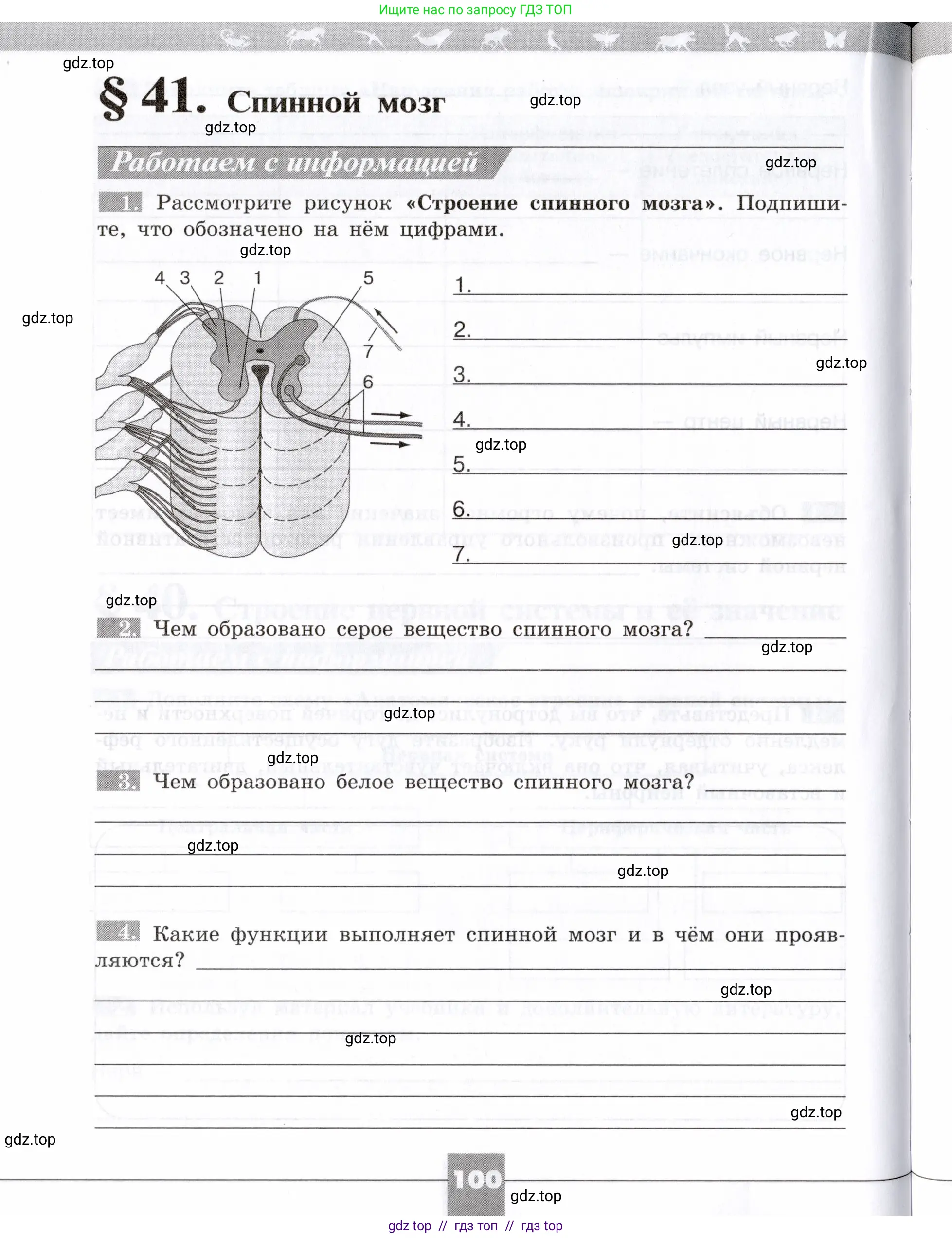 Биология, 8 класс рабочая тетрадь, авторы: Пасечник Владимир Васильевич, Швецов Глеб Геннадьевич, издательство Просвещение, Москва, 2019, страница 100