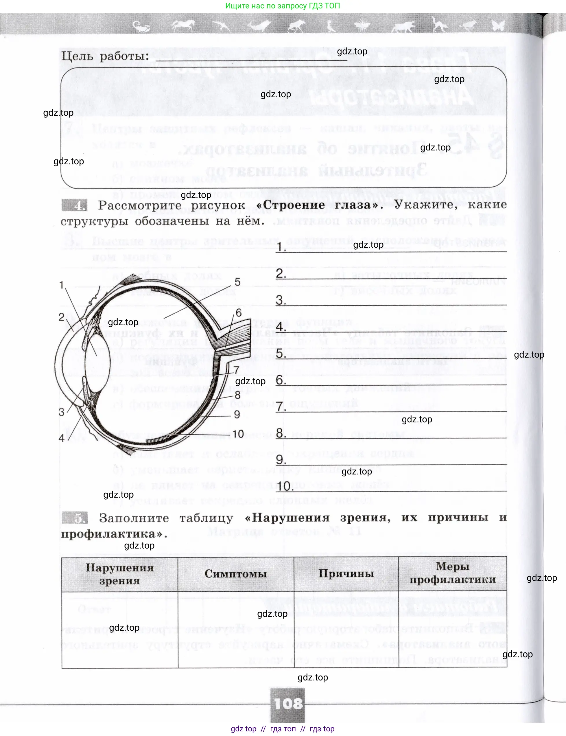 Биология, 8 класс рабочая тетрадь, авторы: Пасечник Владимир Васильевич, Швецов Глеб Геннадьевич, издательство Просвещение, Москва, 2019, страница 108