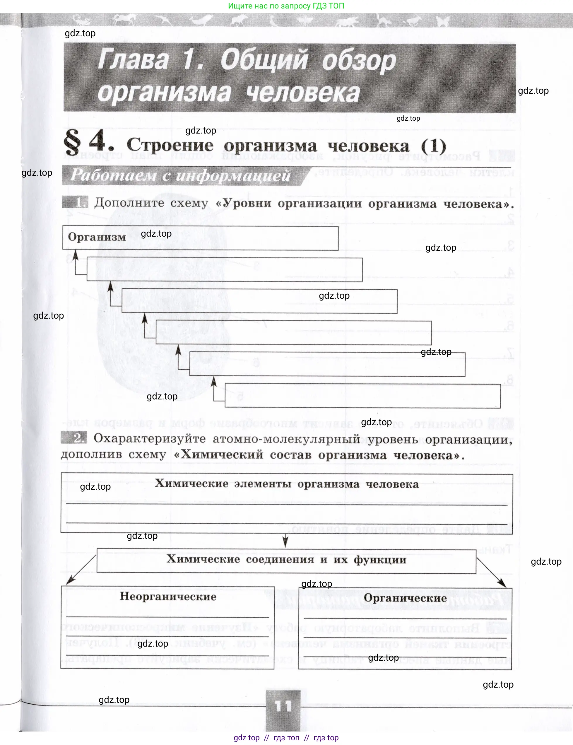 Биология, 8 класс рабочая тетрадь, авторы: Пасечник Владимир Васильевич, Швецов Глеб Геннадьевич, издательство Просвещение, Москва, 2019, страница 11