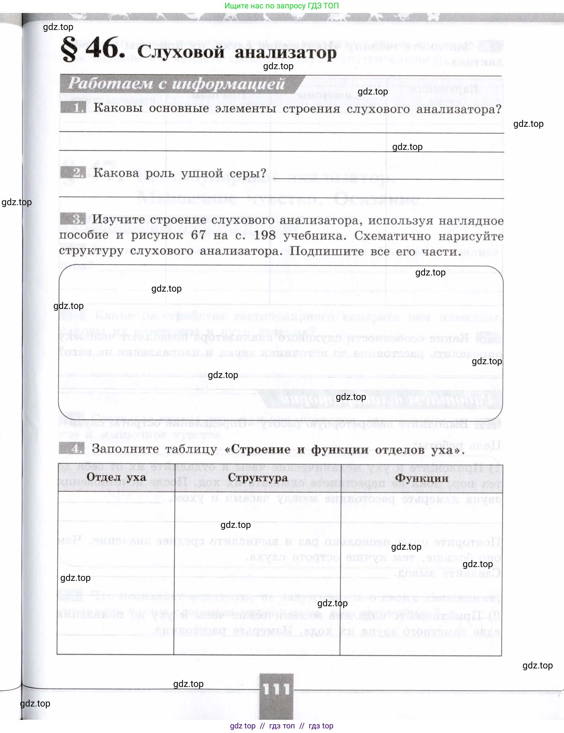 Биология, 8 класс рабочая тетрадь, авторы: Пасечник Владимир Васильевич, Швецов Глеб Геннадьевич, издательство Просвещение, Москва, 2019, страница 111