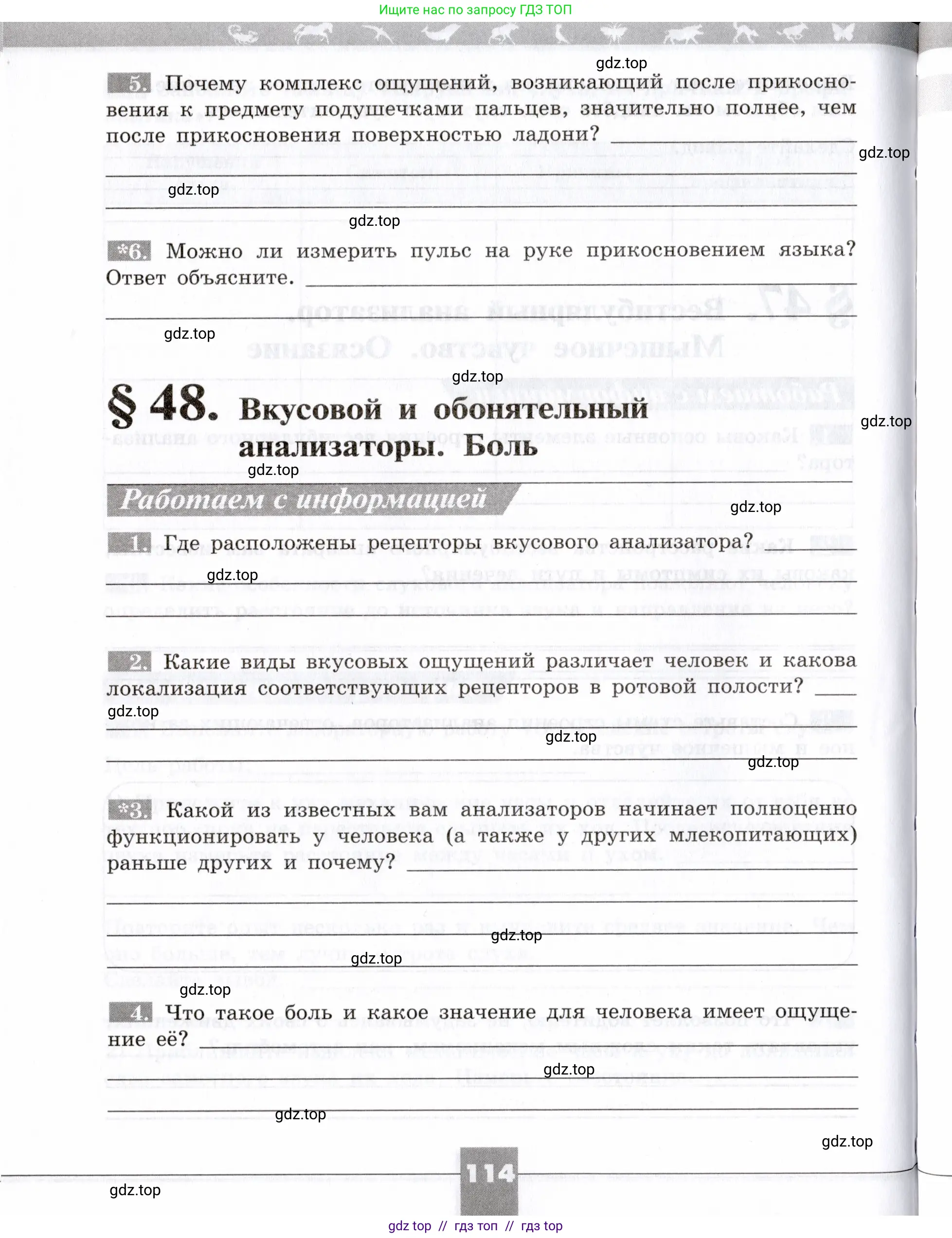 Биология, 8 класс рабочая тетрадь, авторы: Пасечник Владимир Васильевич, Швецов Глеб Геннадьевич, издательство Просвещение, Москва, 2019, страница 114