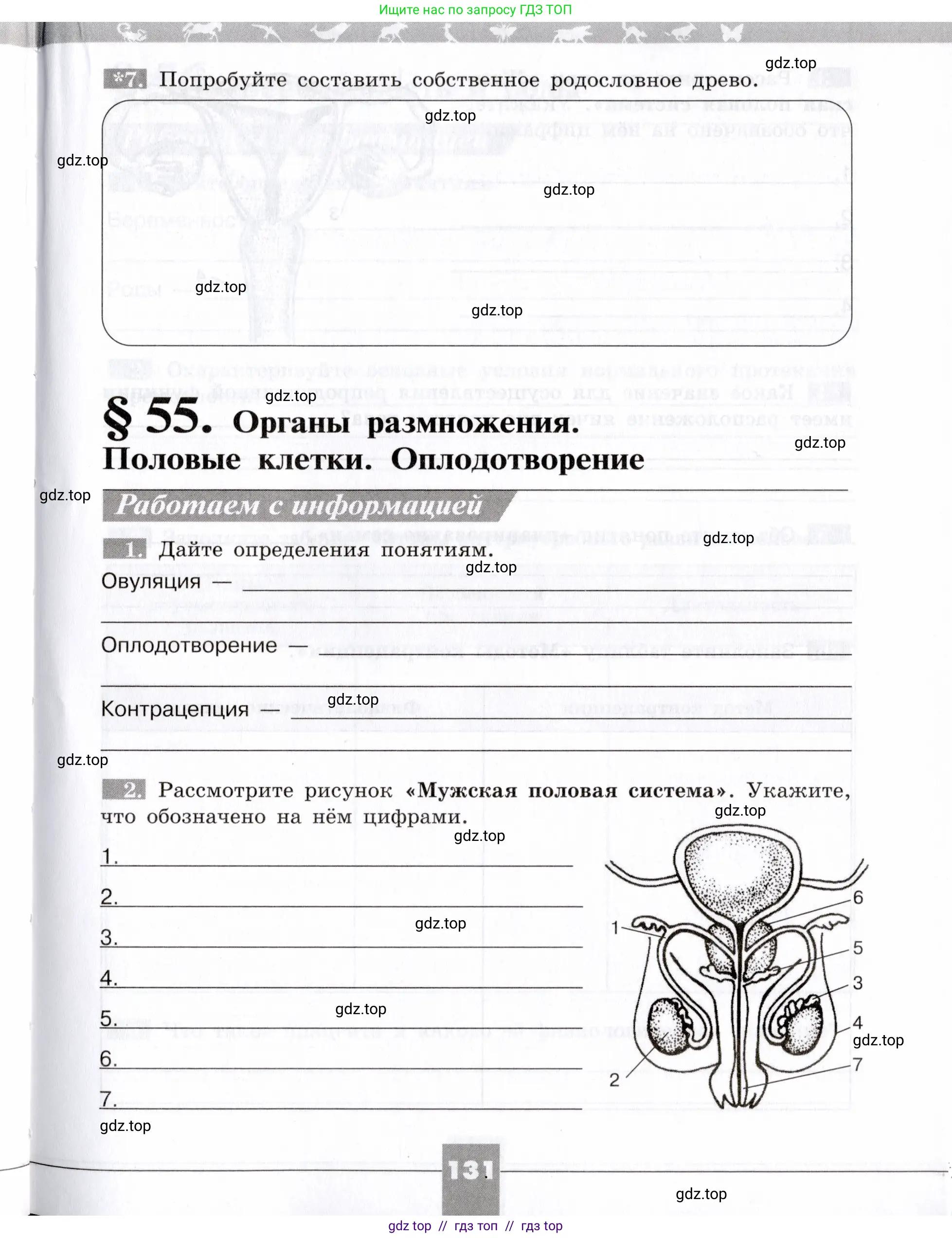 Биология, 8 класс рабочая тетрадь, авторы: Пасечник Владимир Васильевич, Швецов Глеб Геннадьевич, издательство Просвещение, Москва, 2019, страница 131