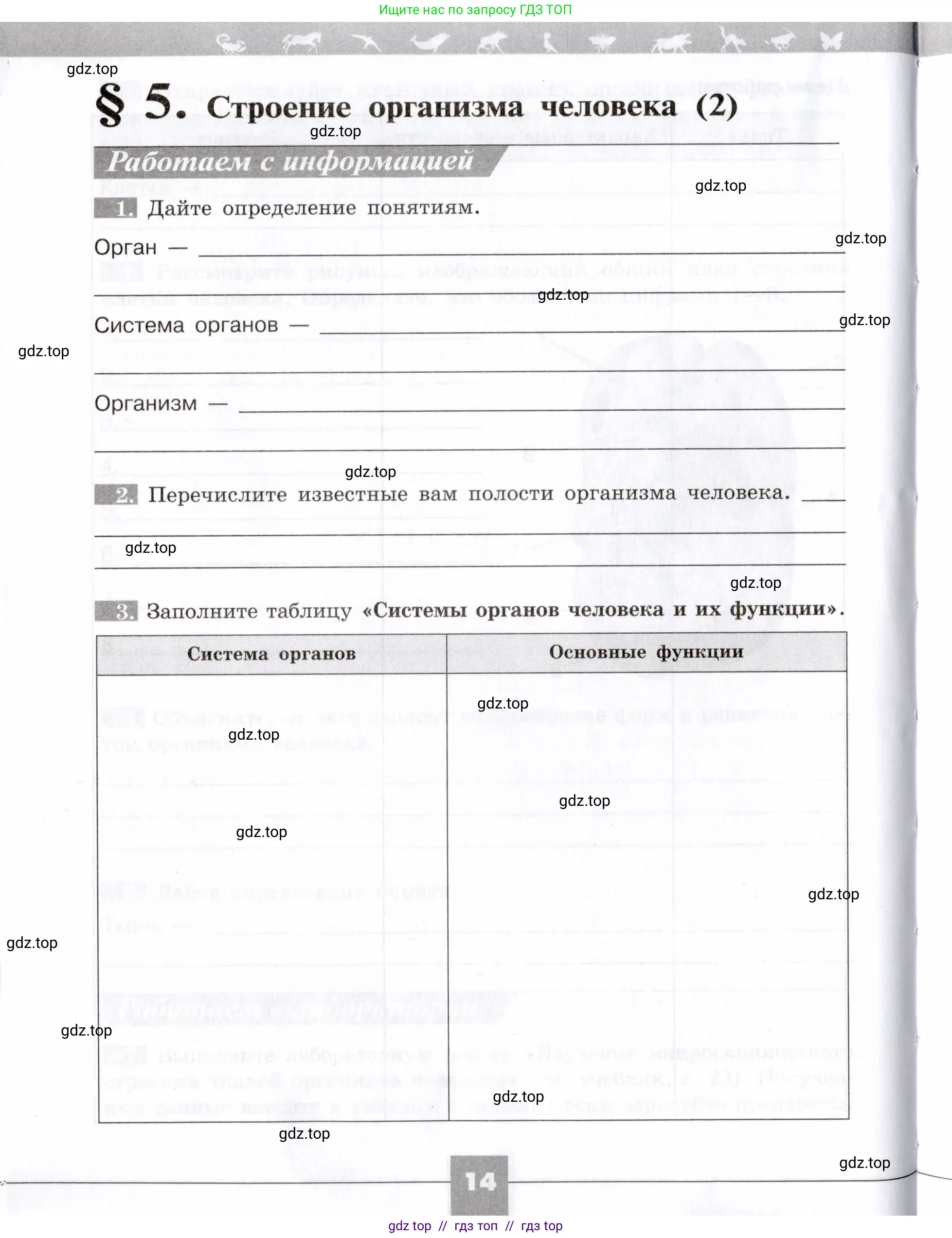 Биология, 8 класс рабочая тетрадь, авторы: Пасечник Владимир Васильевич, Швецов Глеб Геннадьевич, издательство Просвещение, Москва, 2019, страница 14