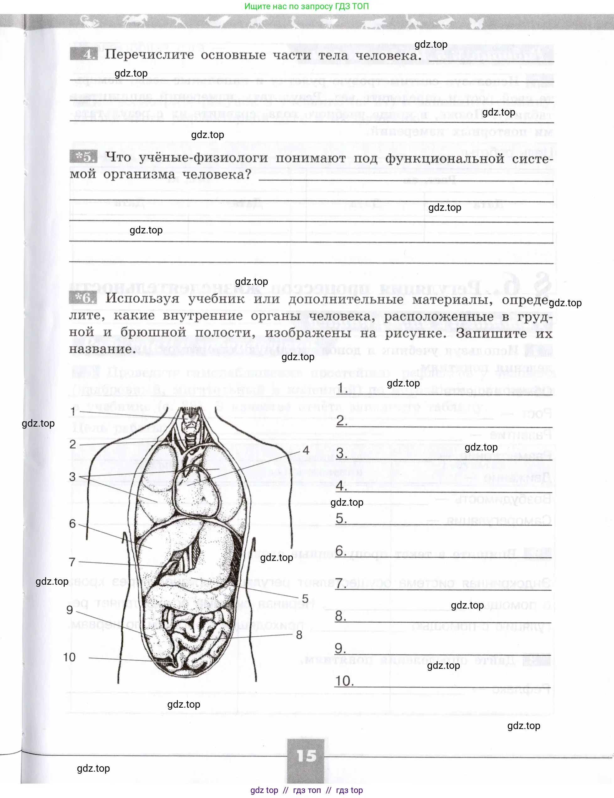 Биология, 8 класс рабочая тетрадь, авторы: Пасечник Владимир Васильевич, Швецов Глеб Геннадьевич, издательство Просвещение, Москва, 2019, страница 15