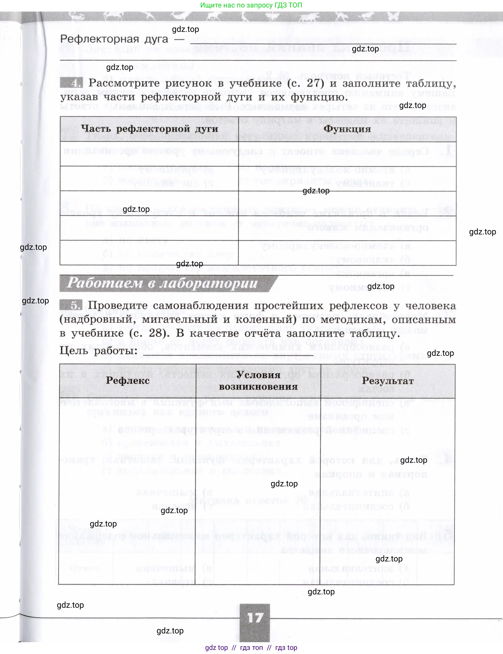 Биология, 8 класс рабочая тетрадь, авторы: Пасечник Владимир Васильевич, Швецов Глеб Геннадьевич, издательство Просвещение, Москва, 2019, страница 17