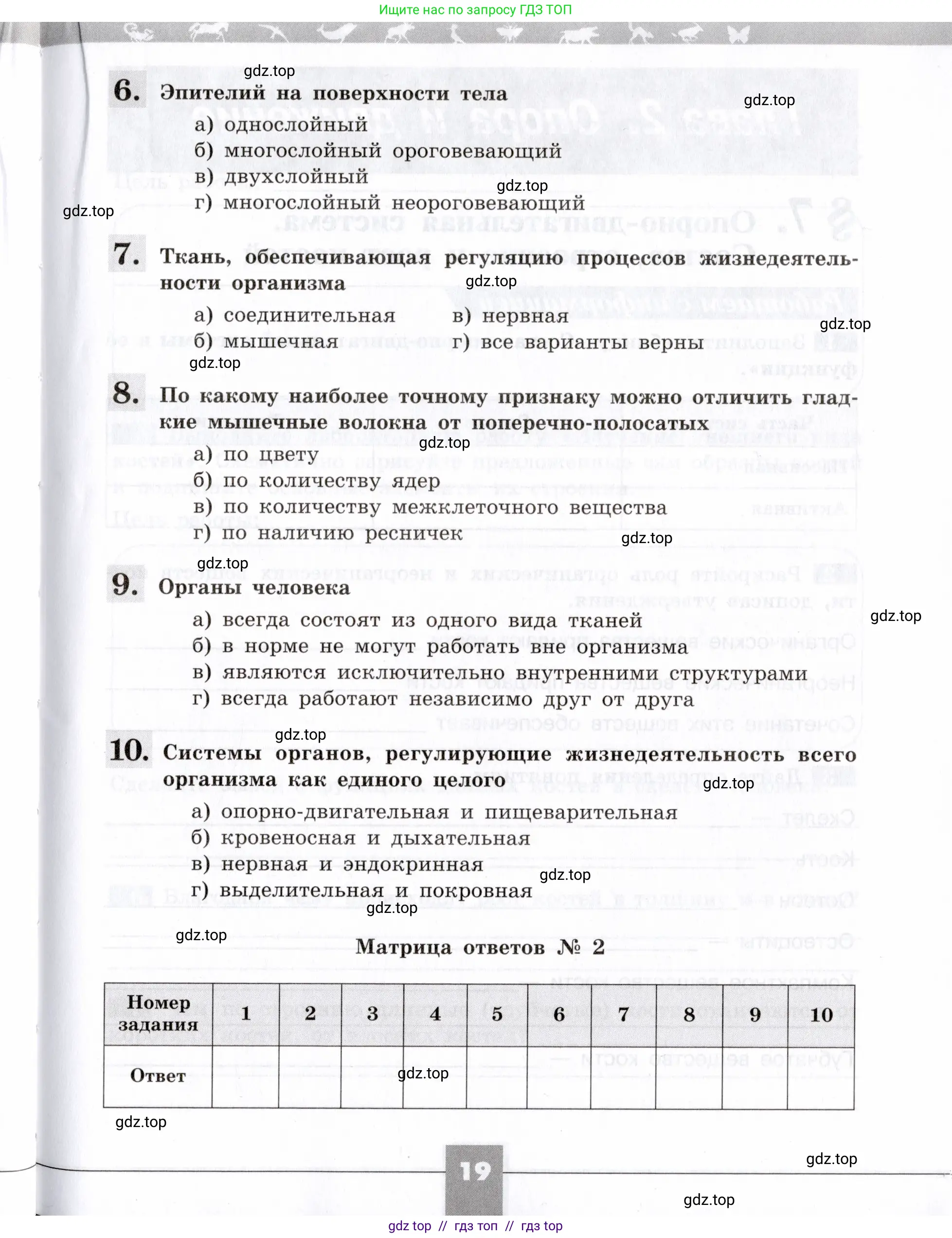 Биология, 8 класс рабочая тетрадь, авторы: Пасечник Владимир Васильевич, Швецов Глеб Геннадьевич, издательство Просвещение, Москва, 2019, страница 19