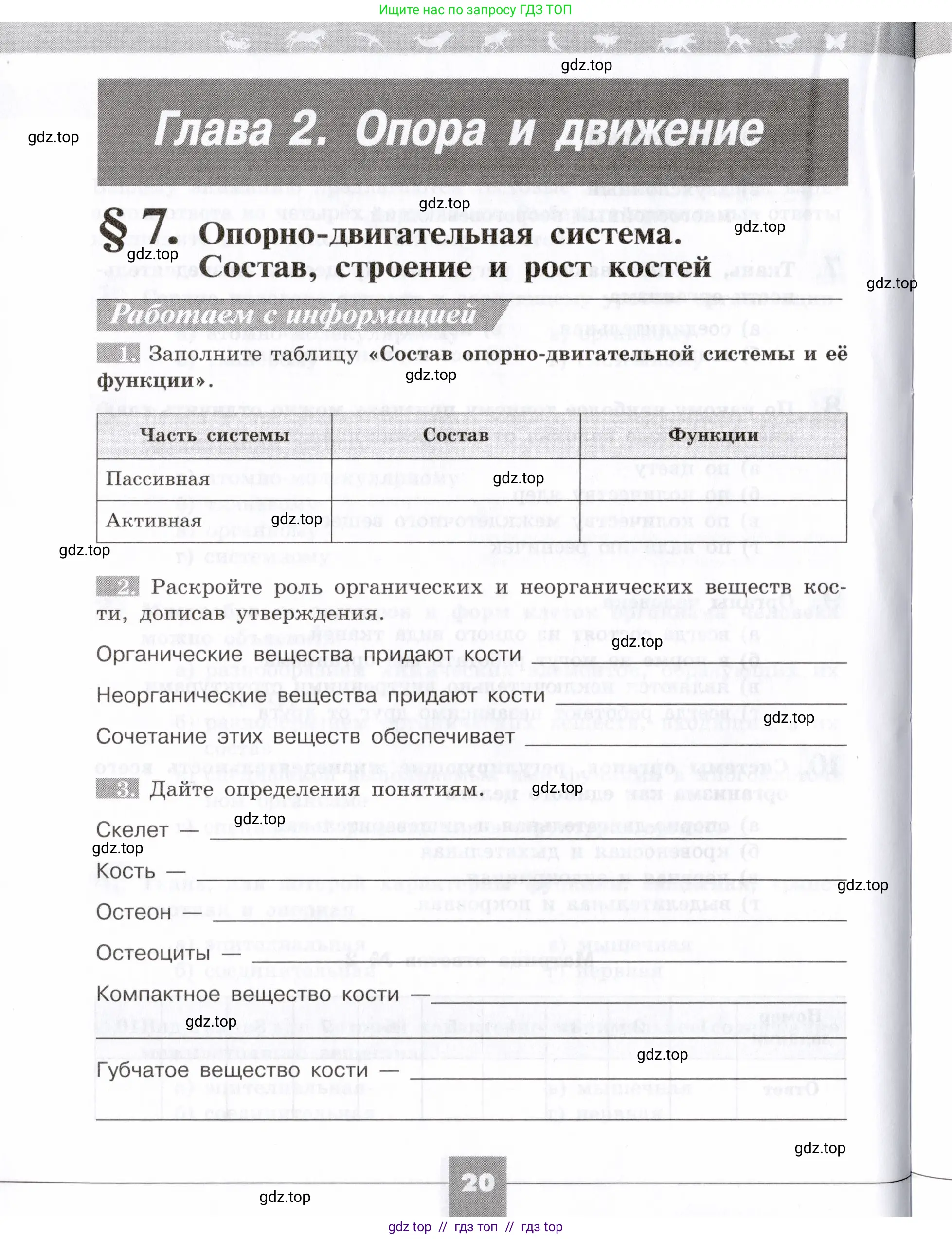 Биология, 8 класс рабочая тетрадь, авторы: Пасечник Владимир Васильевич, Швецов Глеб Геннадьевич, издательство Просвещение, Москва, 2019, страница 20