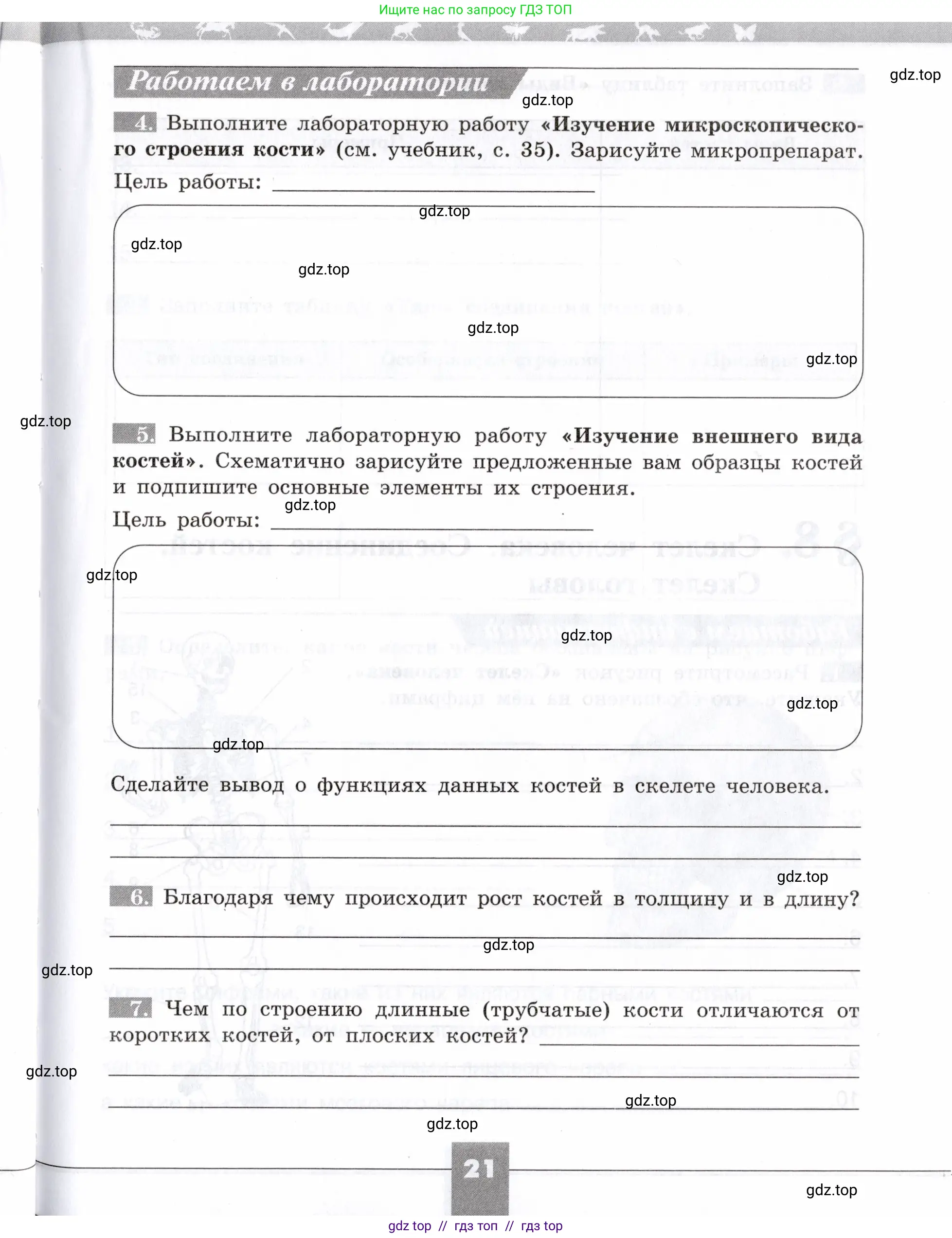 Биология, 8 класс рабочая тетрадь, авторы: Пасечник Владимир Васильевич, Швецов Глеб Геннадьевич, издательство Просвещение, Москва, 2019, страница 21