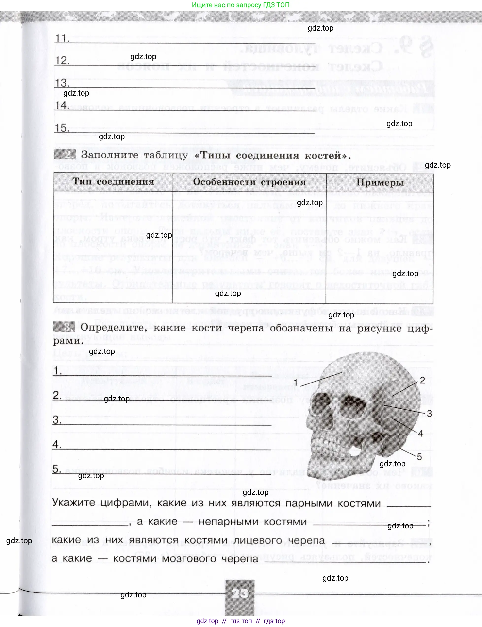 Биология, 8 класс рабочая тетрадь, авторы: Пасечник Владимир Васильевич, Швецов Глеб Геннадьевич, издательство Просвещение, Москва, 2019, страница 23