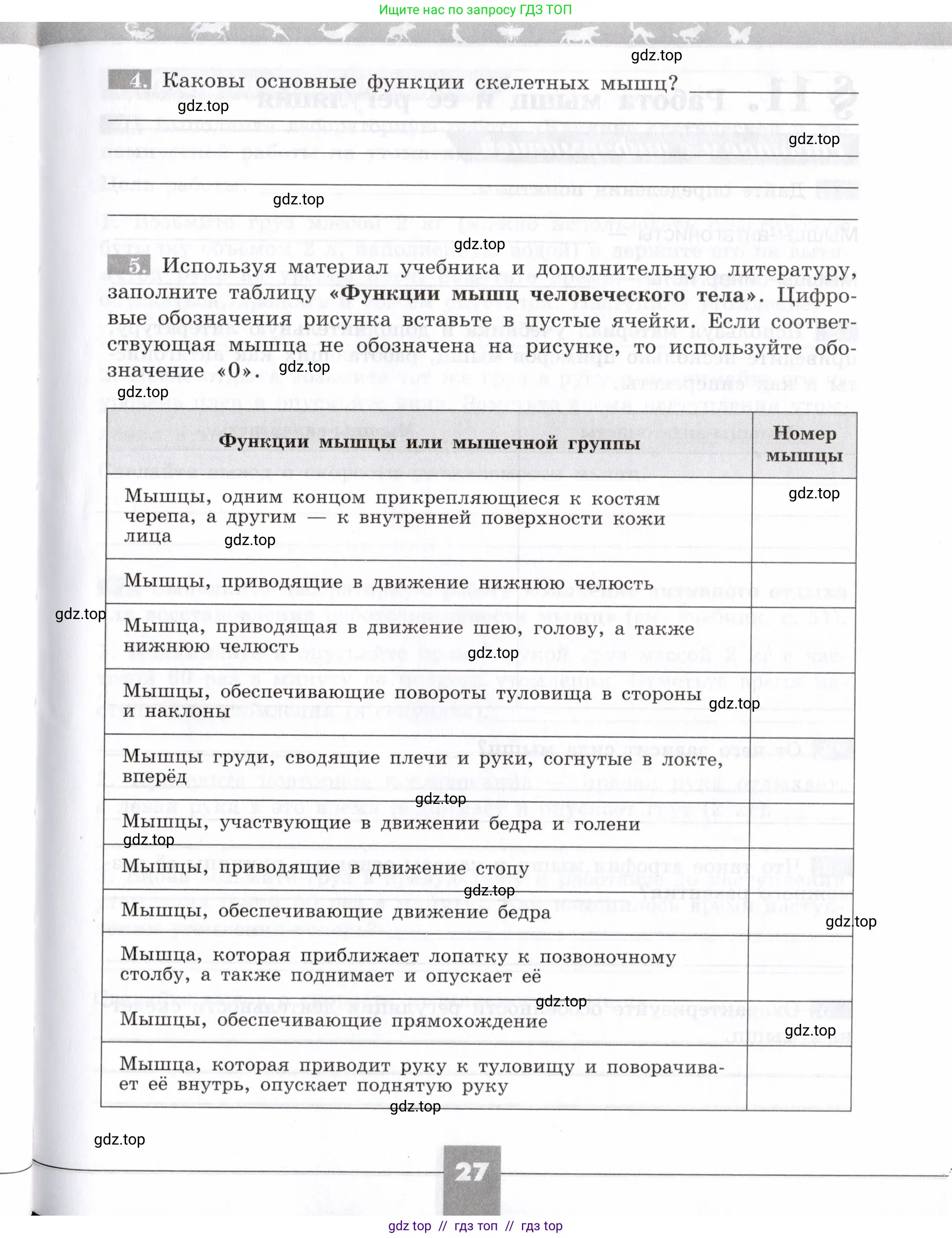 Биология, 8 класс рабочая тетрадь, авторы: Пасечник Владимир Васильевич, Швецов Глеб Геннадьевич, издательство Просвещение, Москва, 2019, страница 27