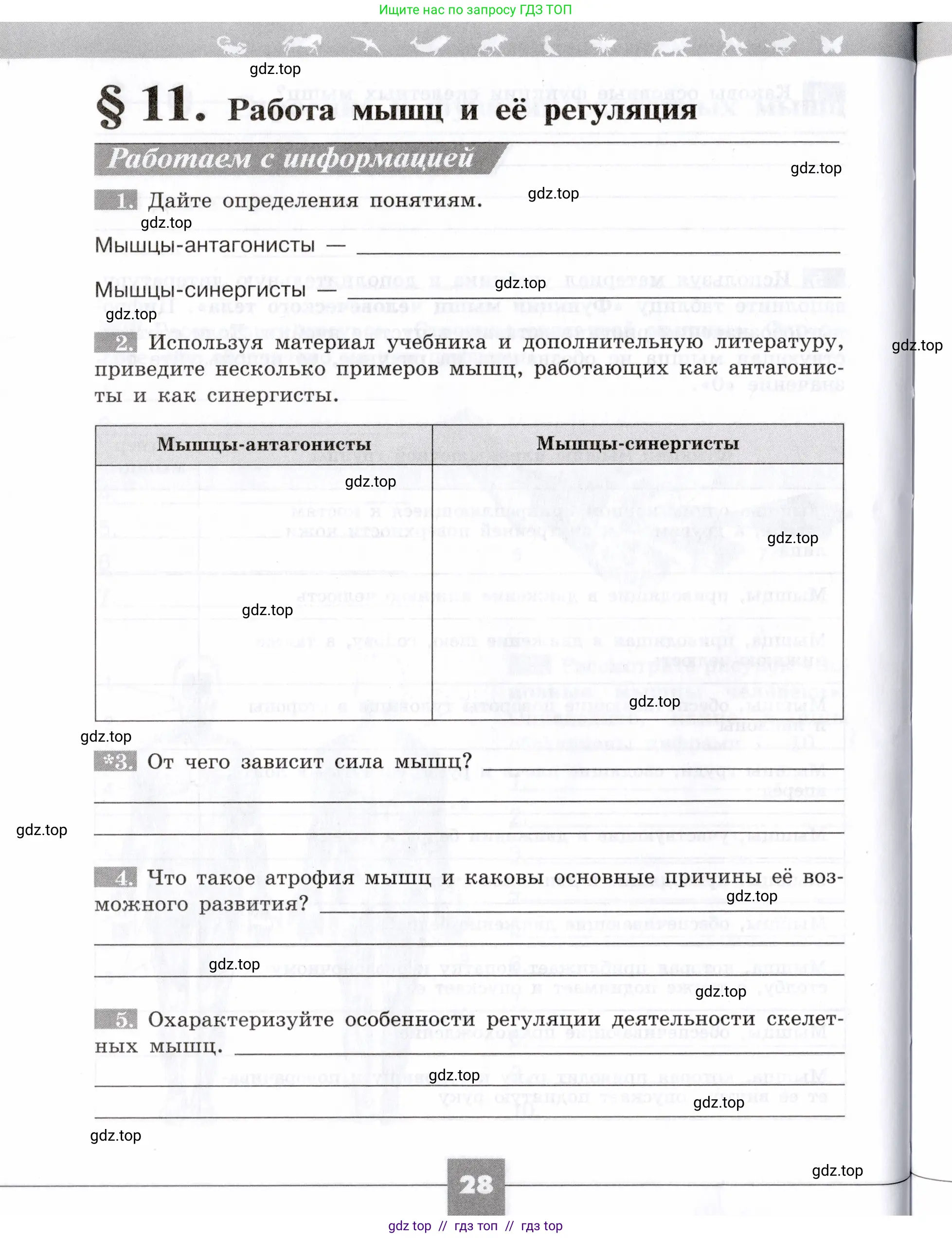 Биология, 8 класс рабочая тетрадь, авторы: Пасечник Владимир Васильевич, Швецов Глеб Геннадьевич, издательство Просвещение, Москва, 2019, страница 28