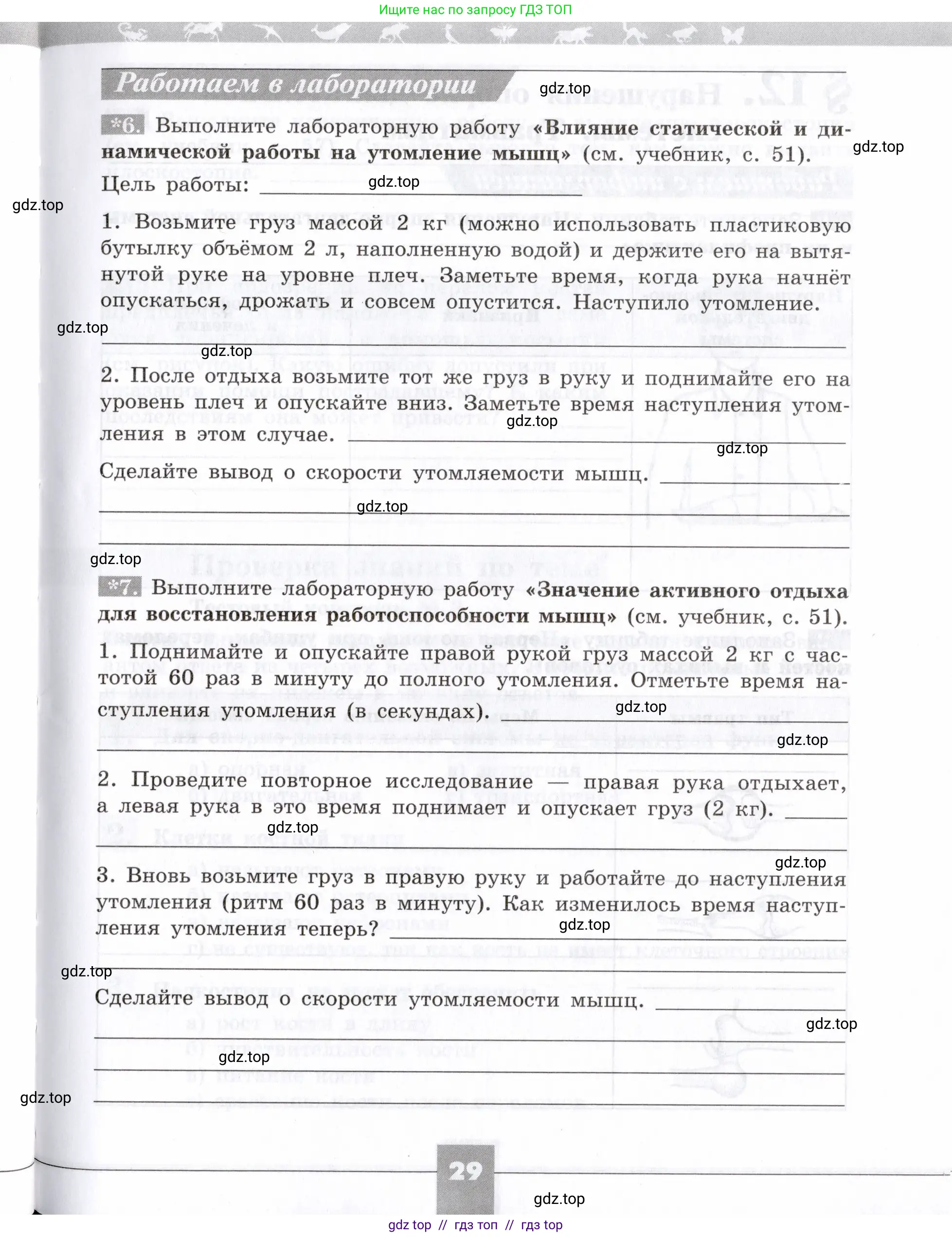 Биология, 8 класс рабочая тетрадь, авторы: Пасечник Владимир Васильевич, Швецов Глеб Геннадьевич, издательство Просвещение, Москва, 2019, страница 29