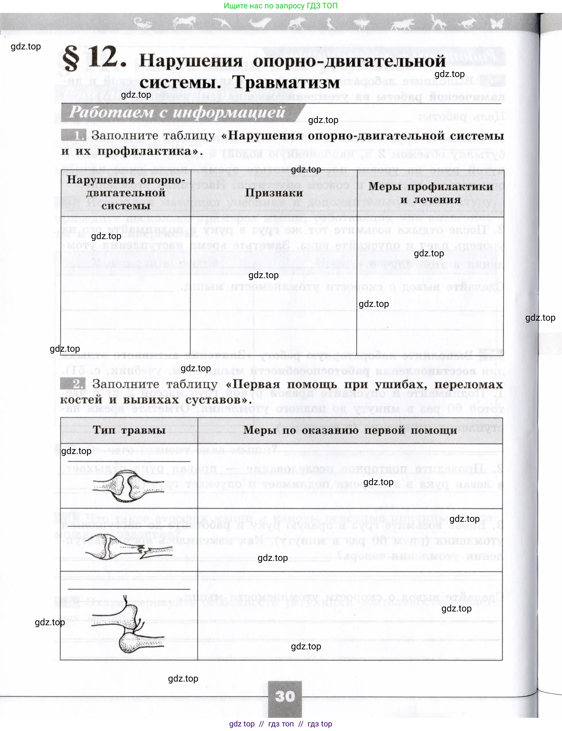 Биология, 8 класс рабочая тетрадь, авторы: Пасечник Владимир Васильевич, Швецов Глеб Геннадьевич, издательство Просвещение, Москва, 2019, страница 30