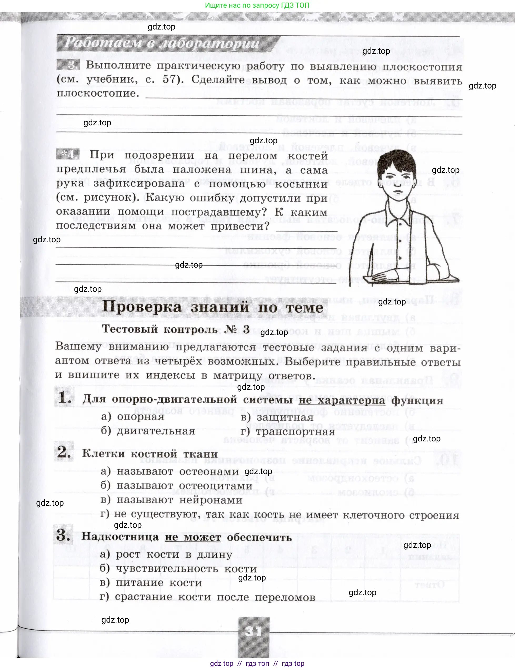Биология, 8 класс рабочая тетрадь, авторы: Пасечник Владимир Васильевич, Швецов Глеб Геннадьевич, издательство Просвещение, Москва, 2019, страница 31