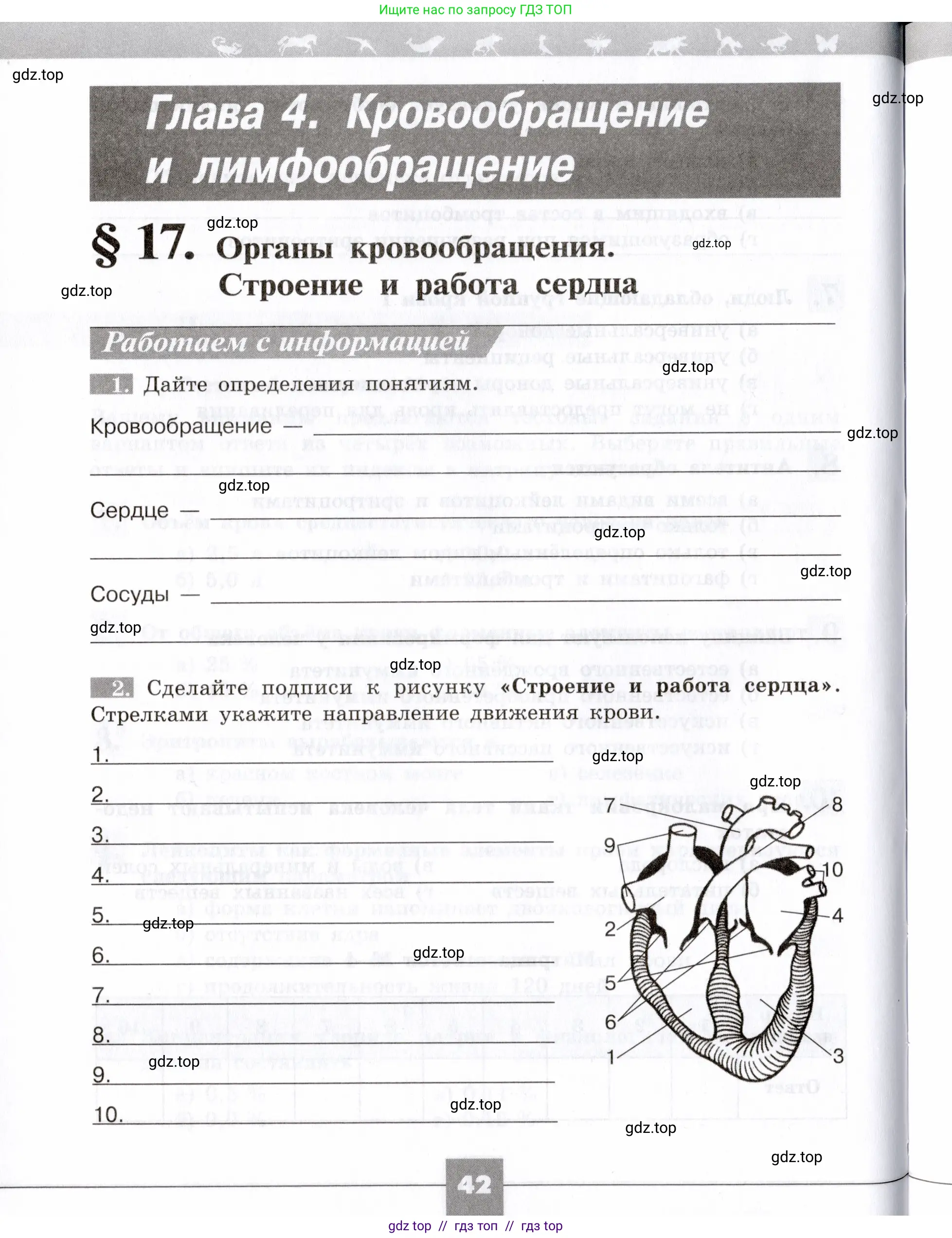 Биология, 8 класс рабочая тетрадь, авторы: Пасечник Владимир Васильевич, Швецов Глеб Геннадьевич, издательство Просвещение, Москва, 2019, страница 42