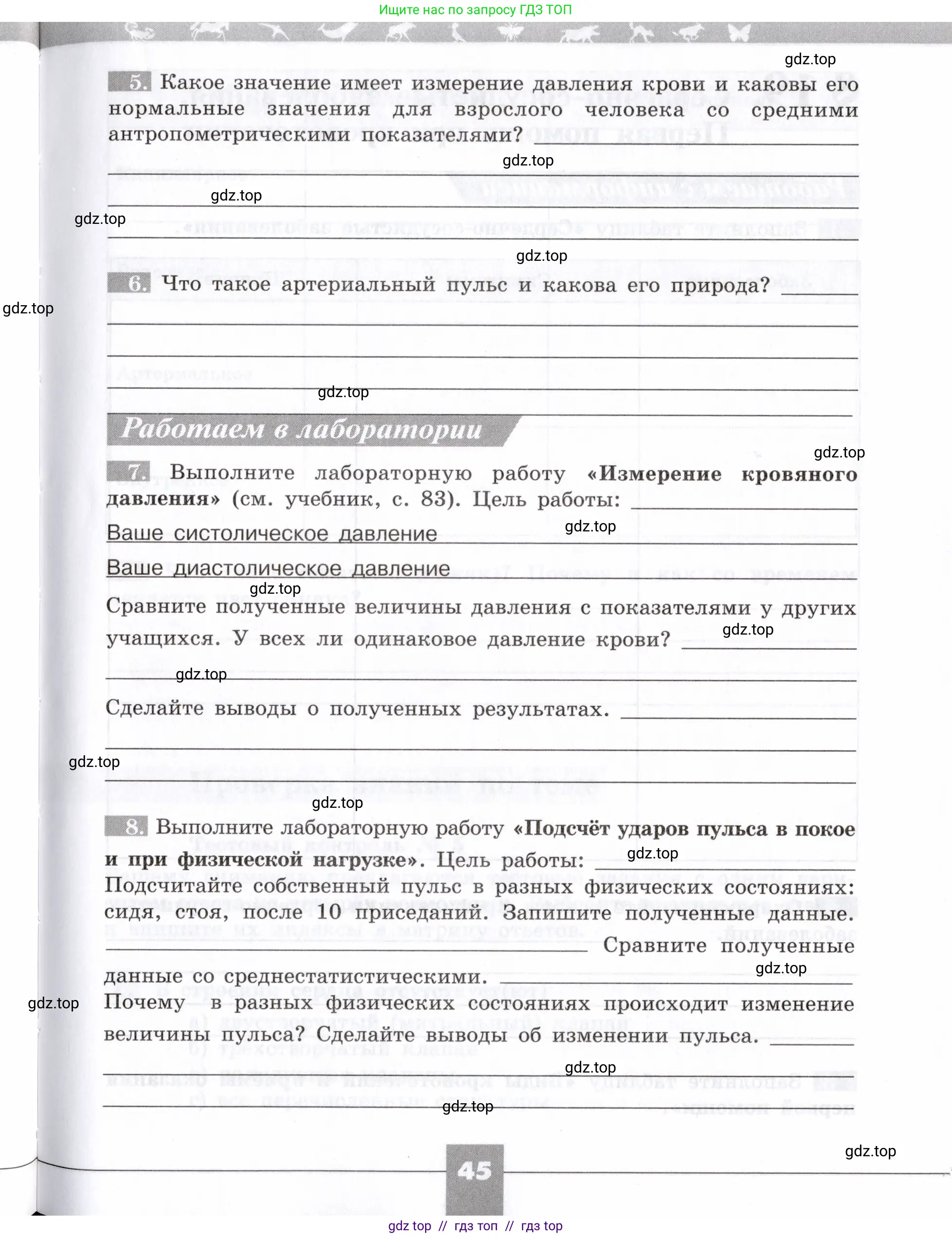 Биология, 8 класс рабочая тетрадь, авторы: Пасечник Владимир Васильевич, Швецов Глеб Геннадьевич, издательство Просвещение, Москва, 2019, страница 45