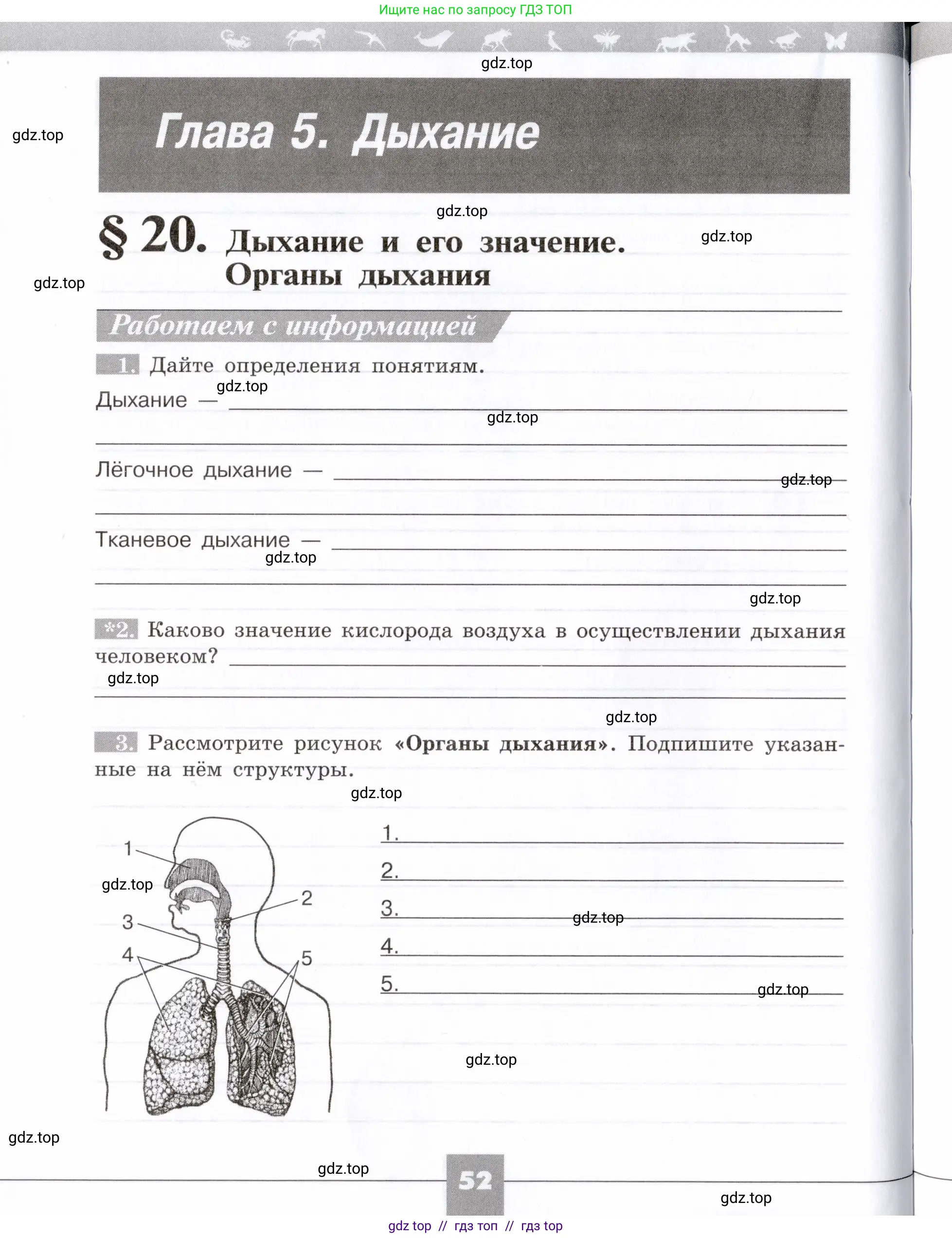 Биология, 8 класс рабочая тетрадь, авторы: Пасечник Владимир Васильевич, Швецов Глеб Геннадьевич, издательство Просвещение, Москва, 2019, страница 52