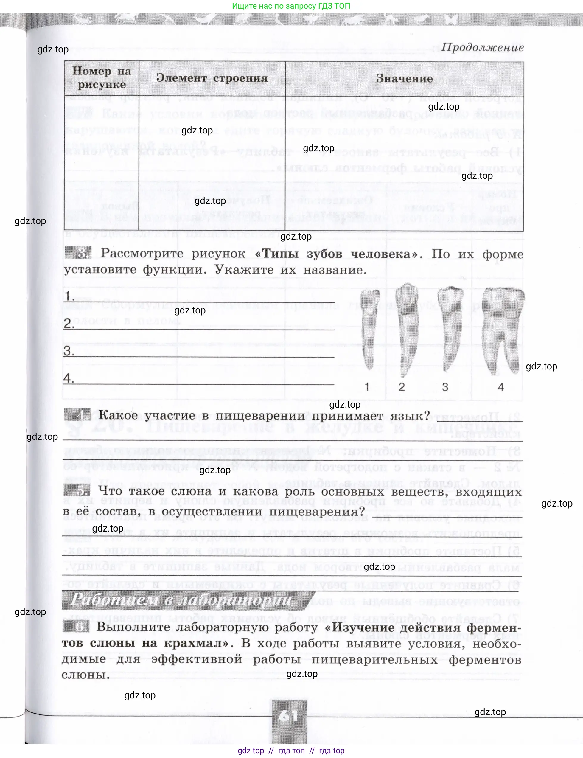 Биология, 8 класс рабочая тетрадь, авторы: Пасечник Владимир Васильевич, Швецов Глеб Геннадьевич, издательство Просвещение, Москва, 2019, страница 61