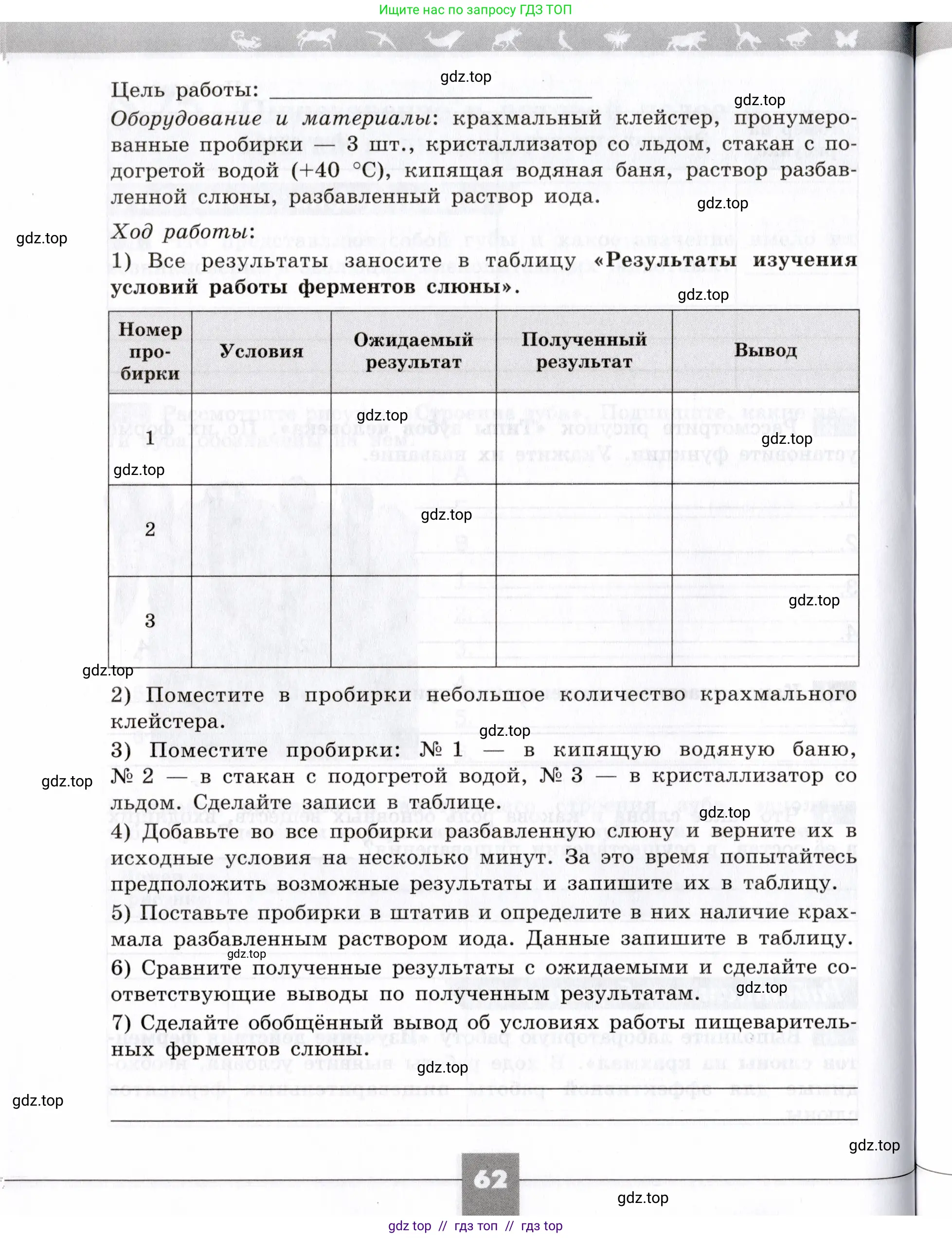 Биология, 8 класс рабочая тетрадь, авторы: Пасечник Владимир Васильевич, Швецов Глеб Геннадьевич, издательство Просвещение, Москва, 2019, страница 62