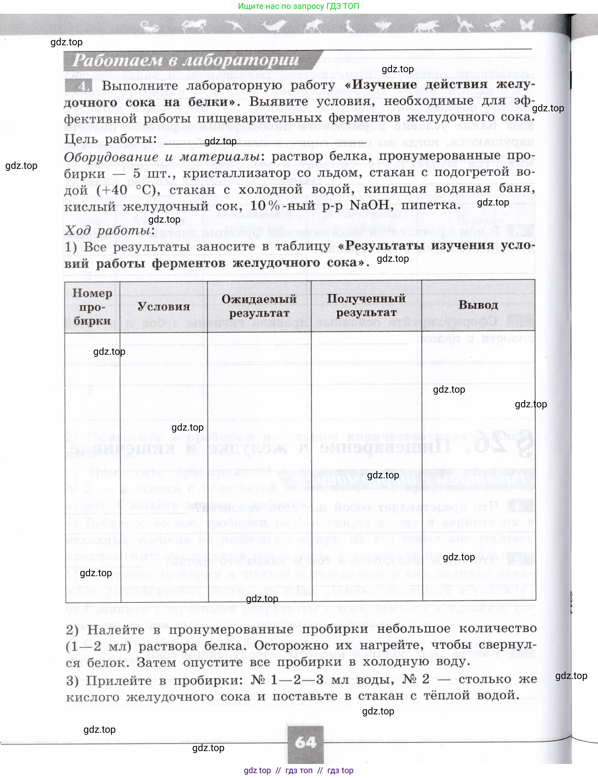 Биология, 8 класс рабочая тетрадь, авторы: Пасечник Владимир Васильевич, Швецов Глеб Геннадьевич, издательство Просвещение, Москва, 2019, страница 64