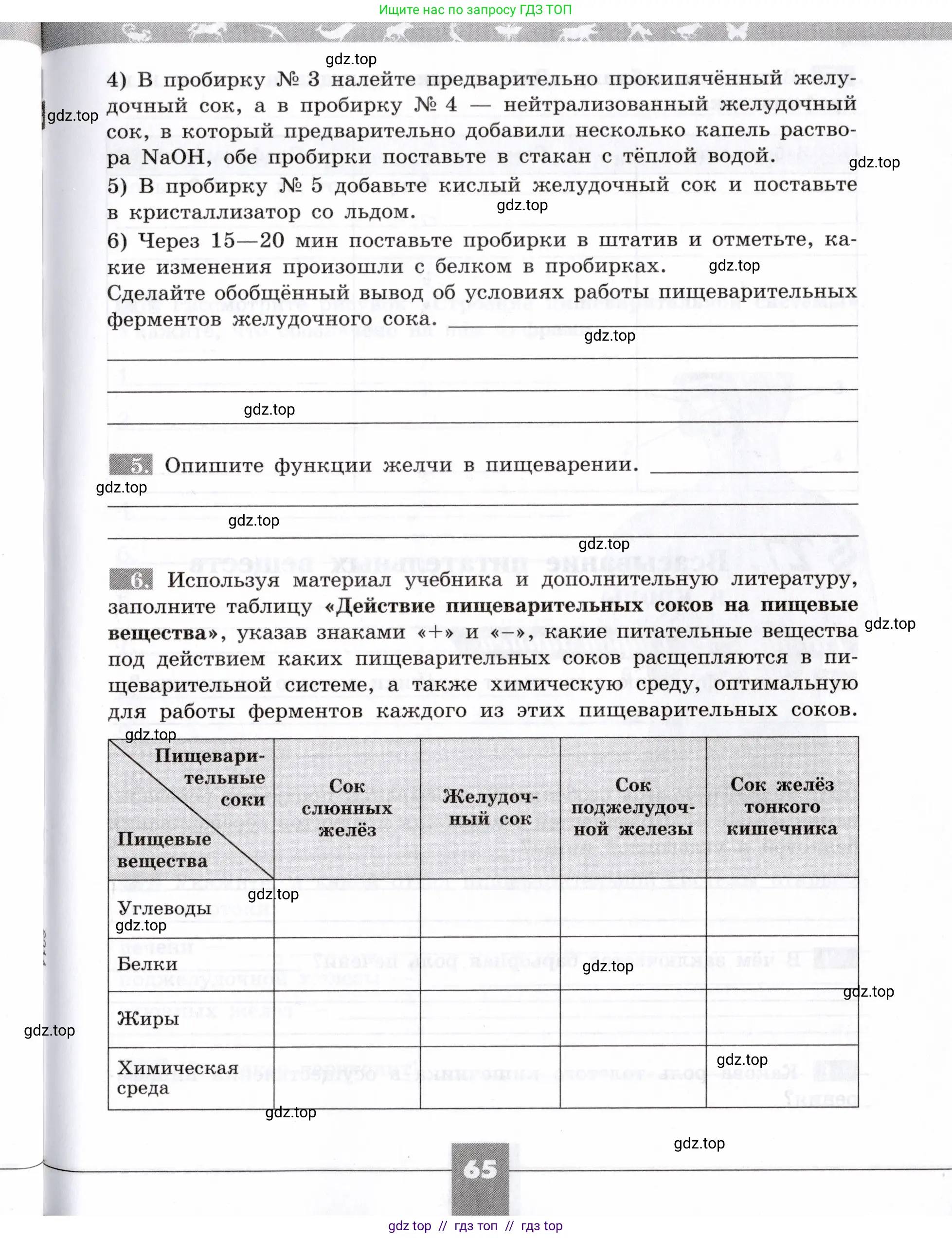 Биология, 8 класс рабочая тетрадь, авторы: Пасечник Владимир Васильевич, Швецов Глеб Геннадьевич, издательство Просвещение, Москва, 2019, страница 65