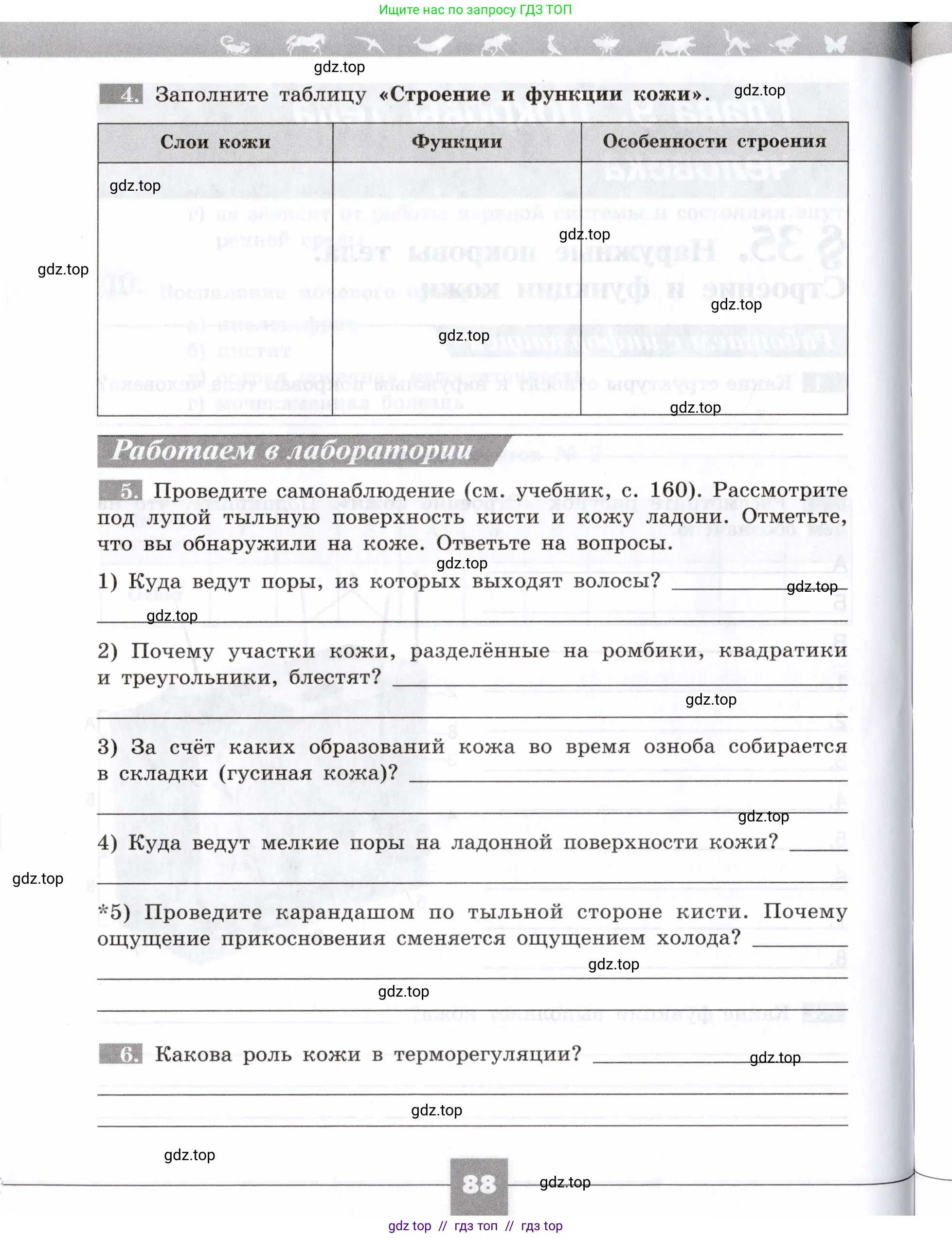 Биология, 8 класс рабочая тетрадь, авторы: Пасечник Владимир Васильевич, Швецов Глеб Геннадьевич, издательство Просвещение, Москва, 2019, страница 88