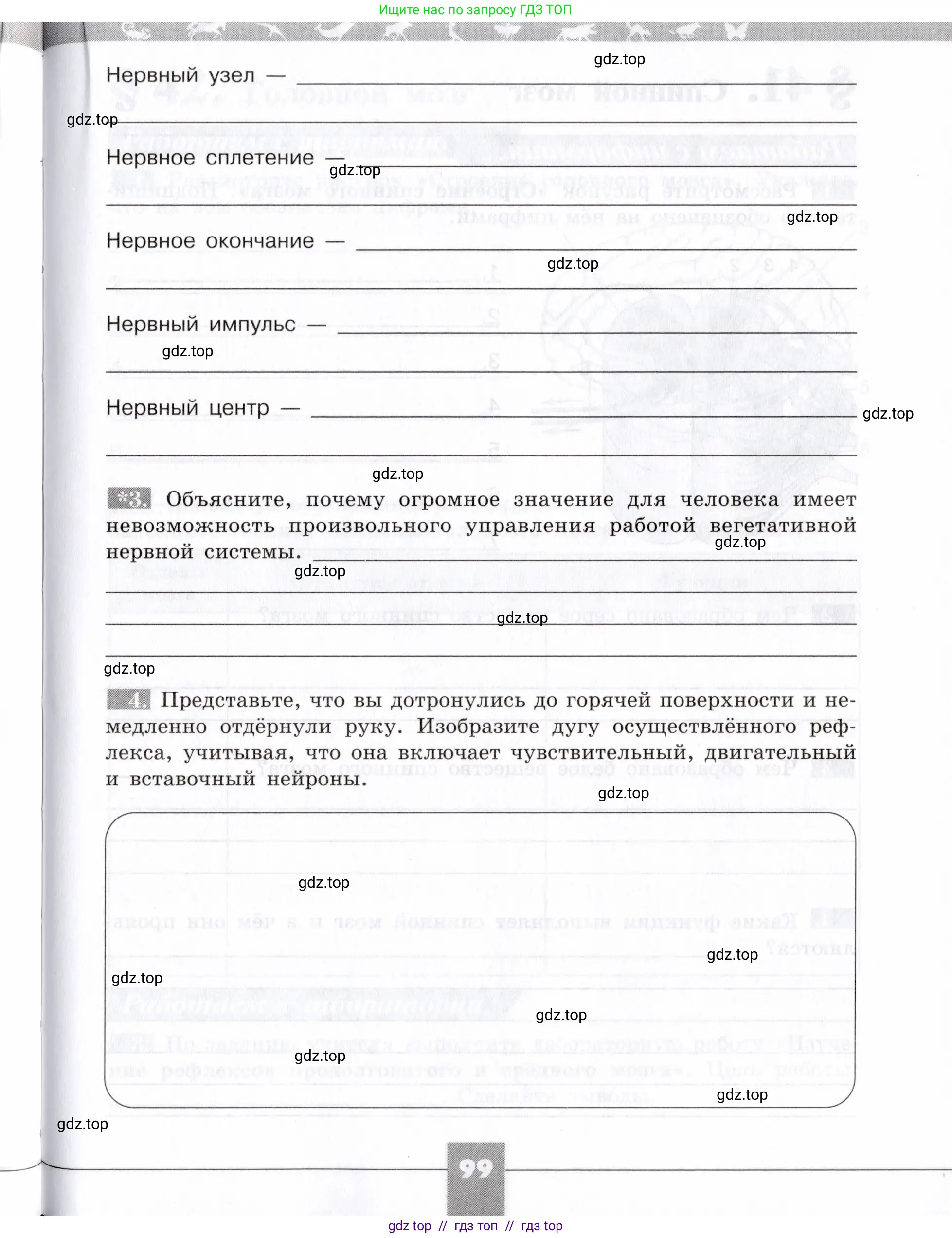 Биология, 8 класс рабочая тетрадь, авторы: Пасечник Владимир Васильевич, Швецов Глеб Геннадьевич, издательство Просвещение, Москва, 2019, страница 99