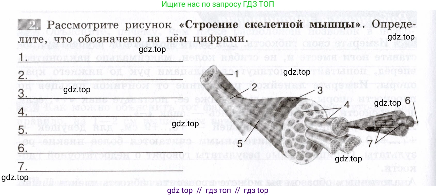 Биология, 8 класс рабочая тетрадь, авторы: Пасечник Владимир Васильевич, Швецов Глеб Геннадьевич, издательство Просвещение, Москва, 2019, страница 26, номер 2, Условие